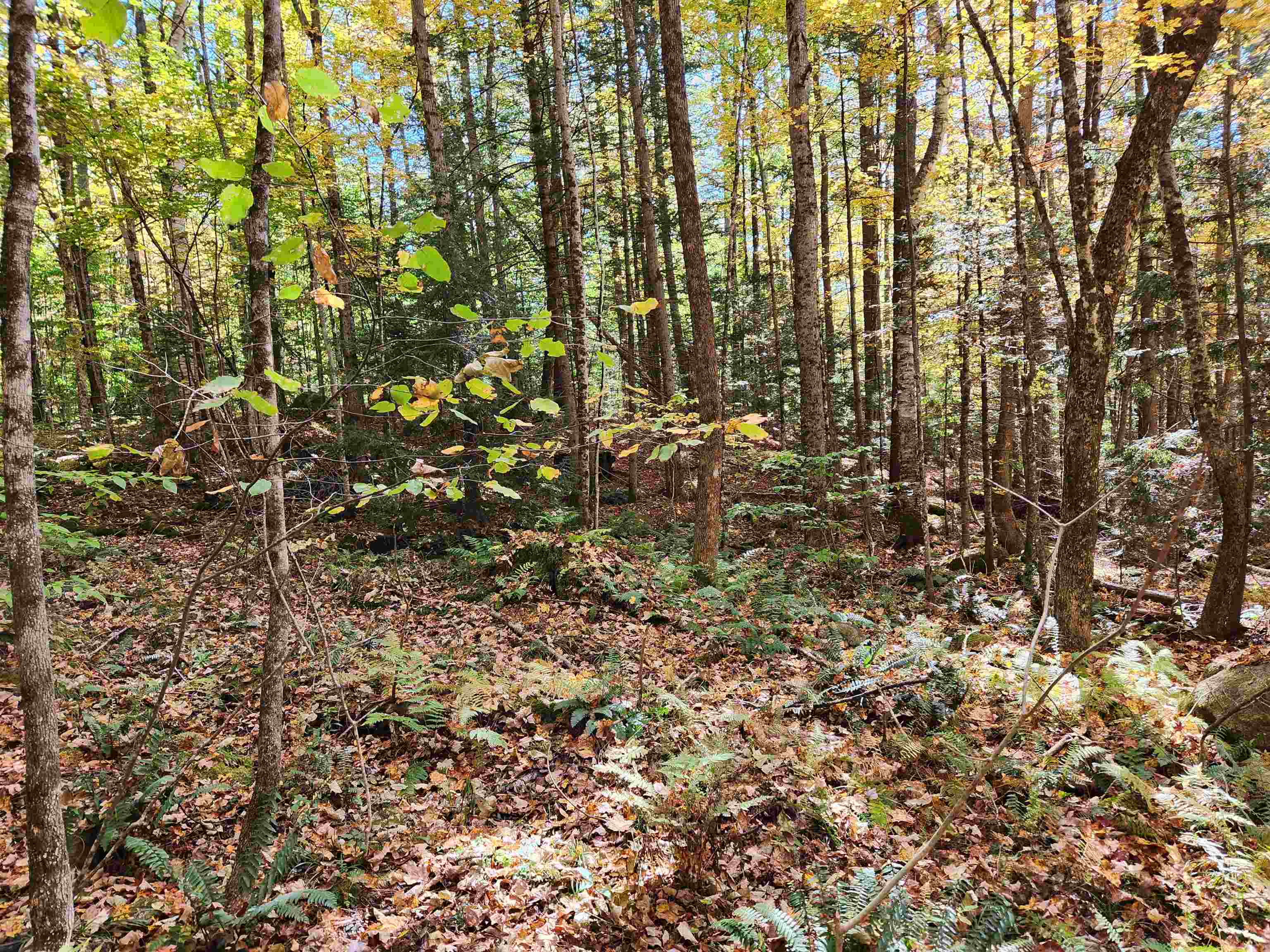 TOWN ROAD, Orford, NH 03777 PrimeMLS