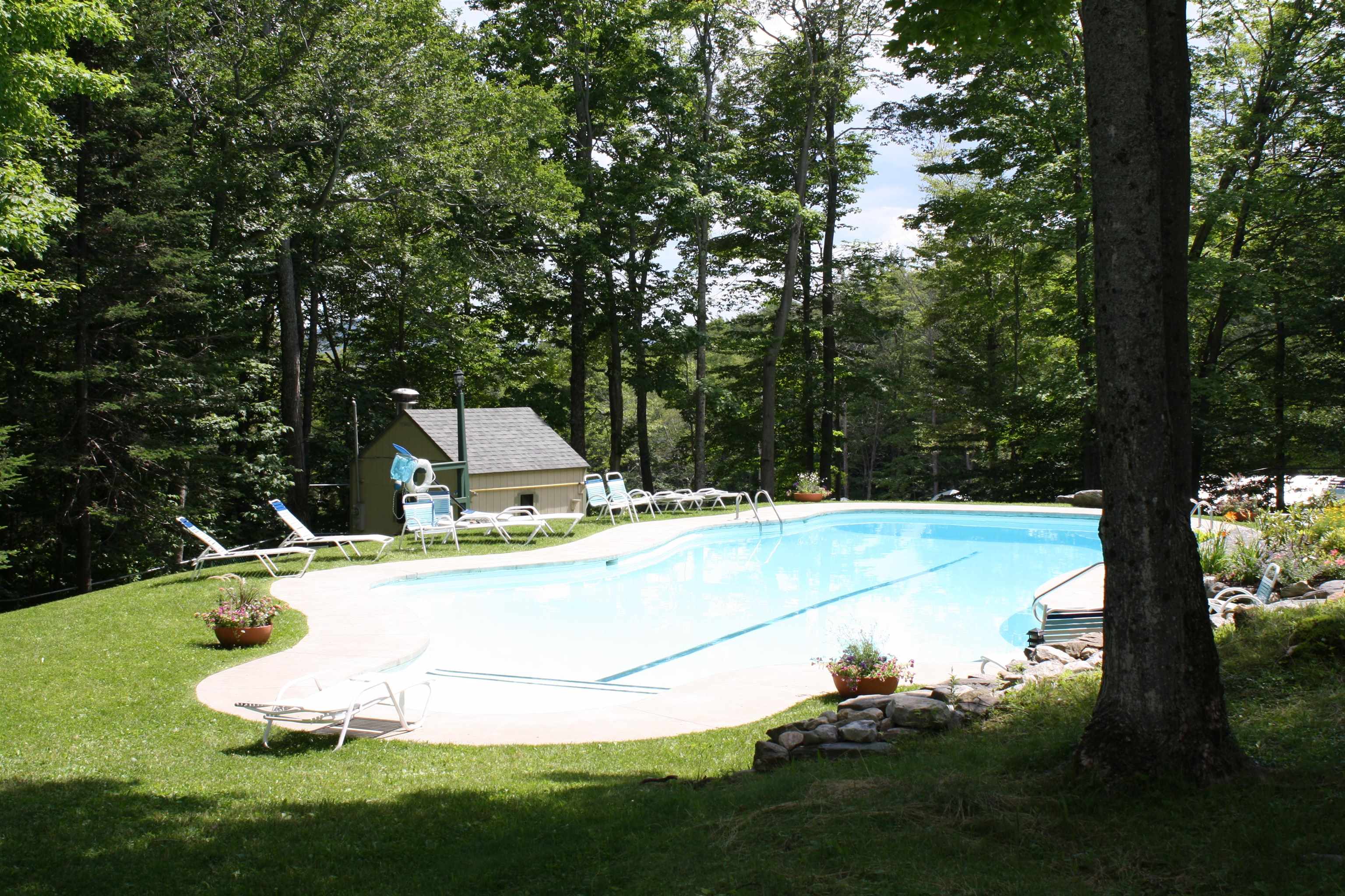 Heated Summer Pool 21069918