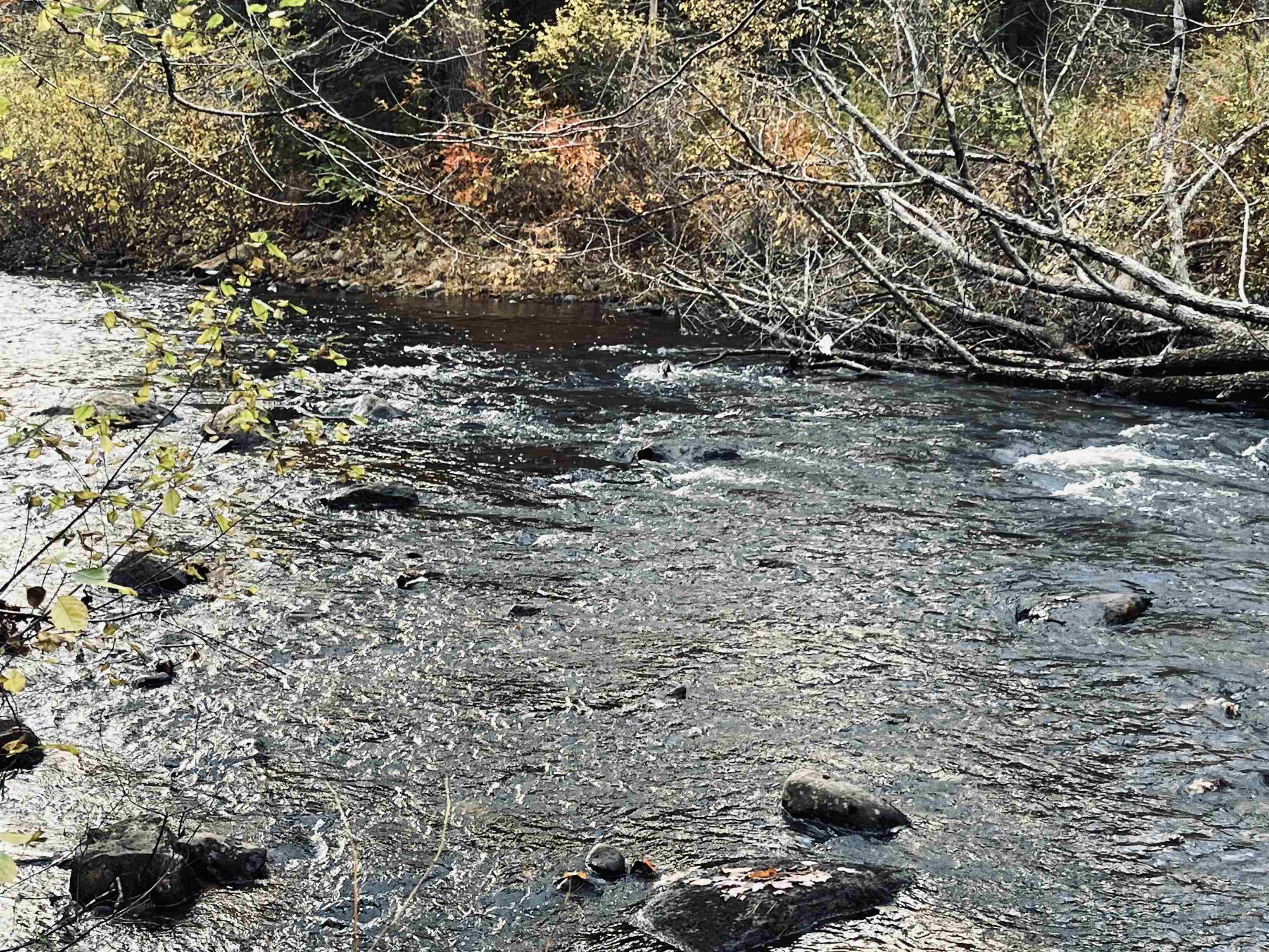 Photo of 6 Beech River Circle Ossipee NH 03184