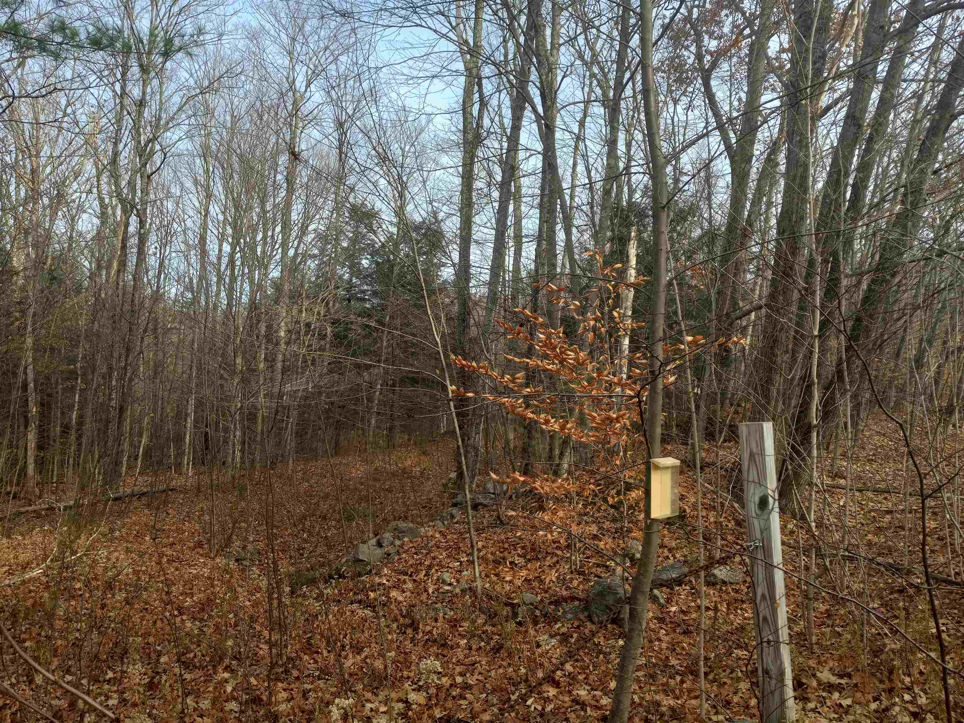 CHARLESTOWN NH Land / Acres for sale