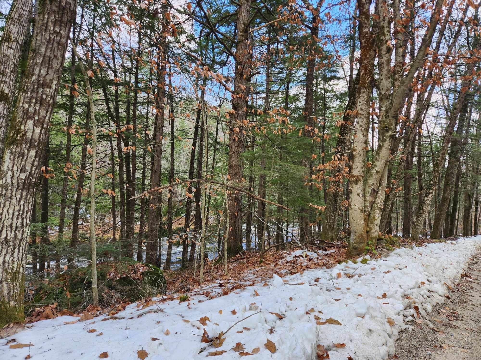 0 BEARD ROAD, MAP 8 LOT 26, Hillsborough, NH 03244 PrimeMLS