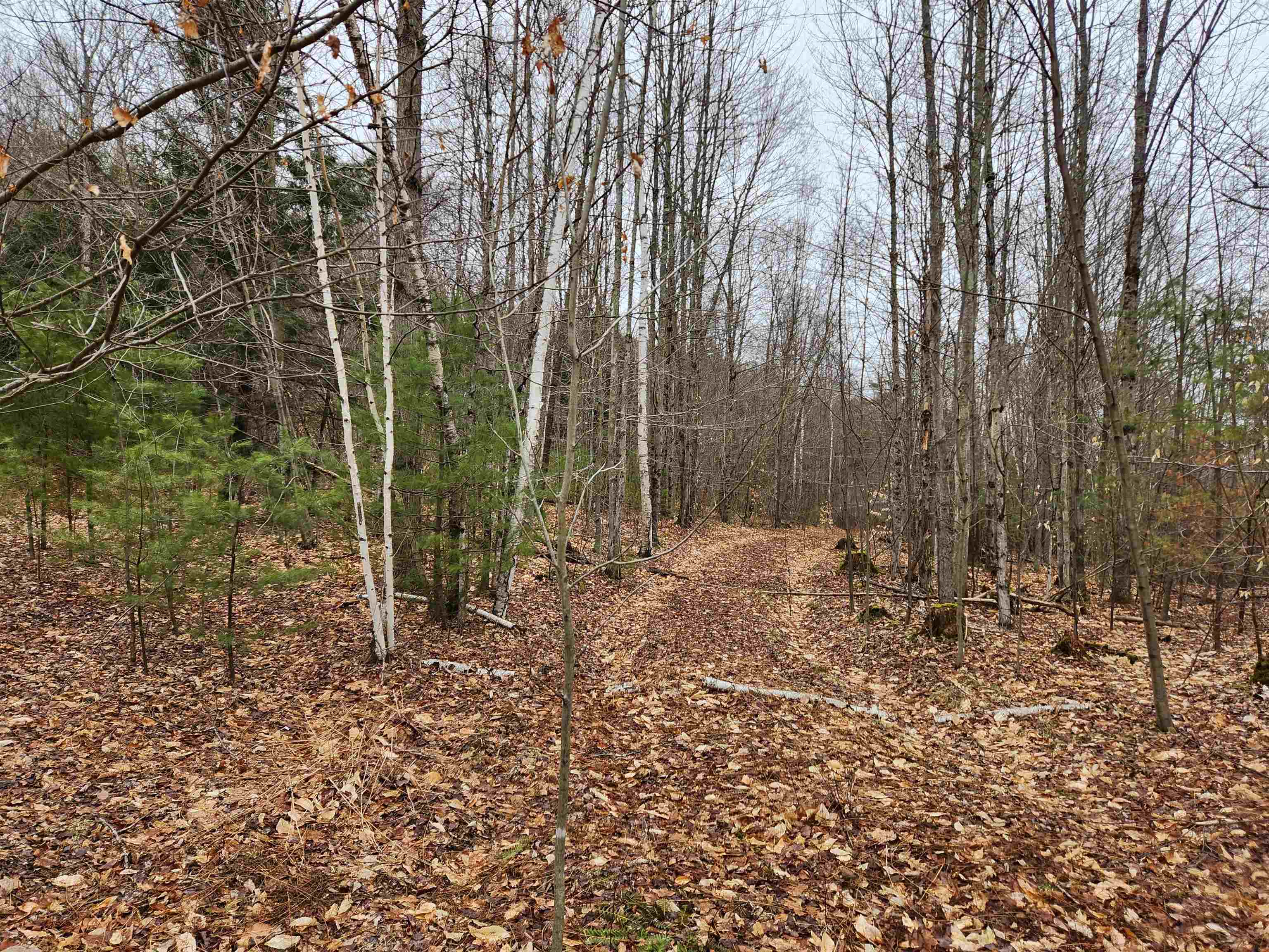 CLAREMONT NH LAND  for sale $$119,900 | 14.79 Acres  | Price Per Acre $0  | Total Lots 2