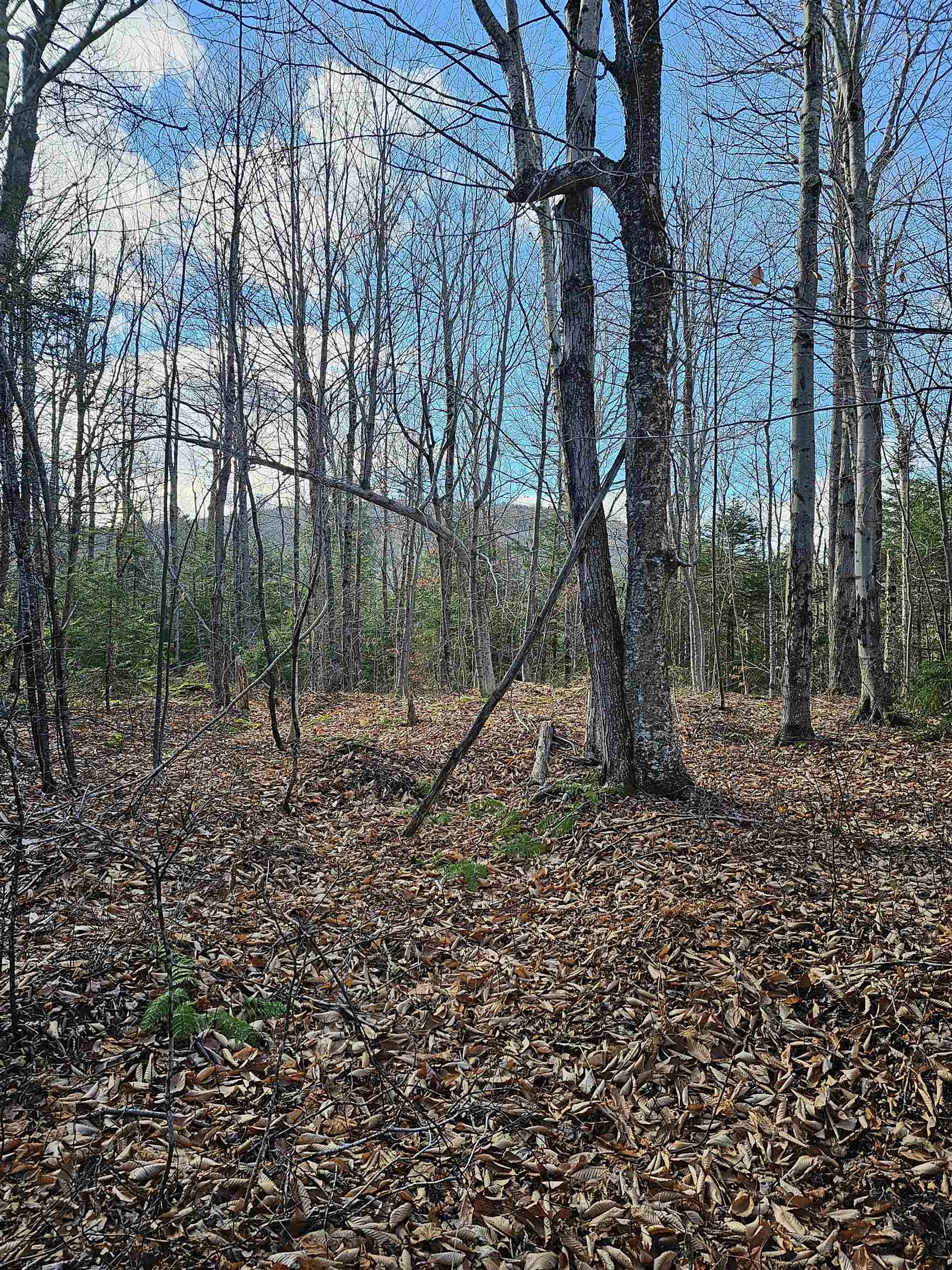 Lot 28 Knowles Hill Road Alexandria, NH Photo