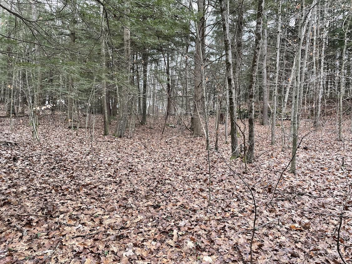 CHARLESTOWN NH LAND  for sale $$89,900 | 18 Acres  | Price Per Acre $0 