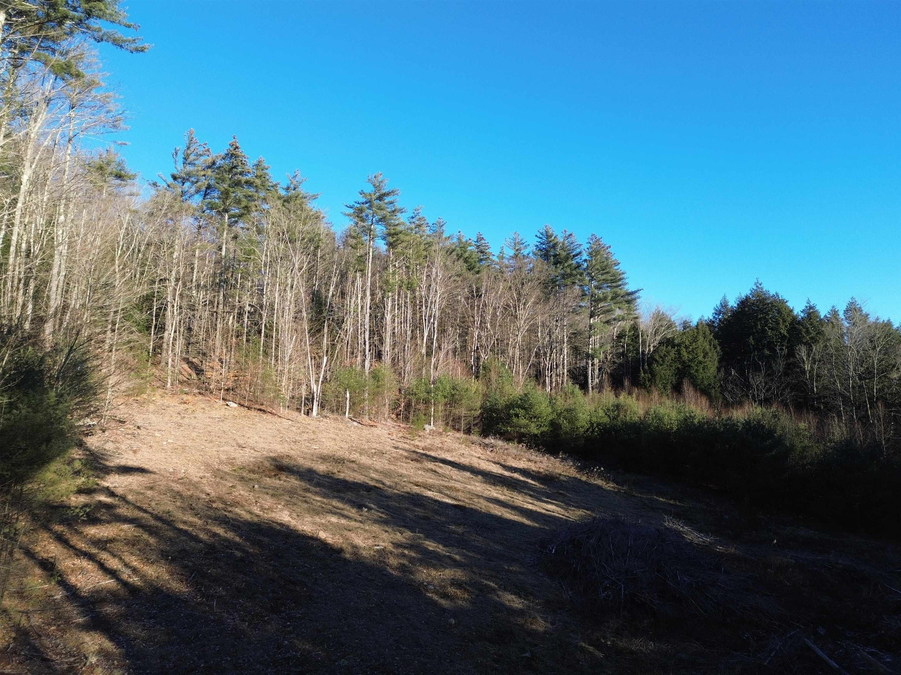 Weathersfield VT Land / Acres For Sale page 1