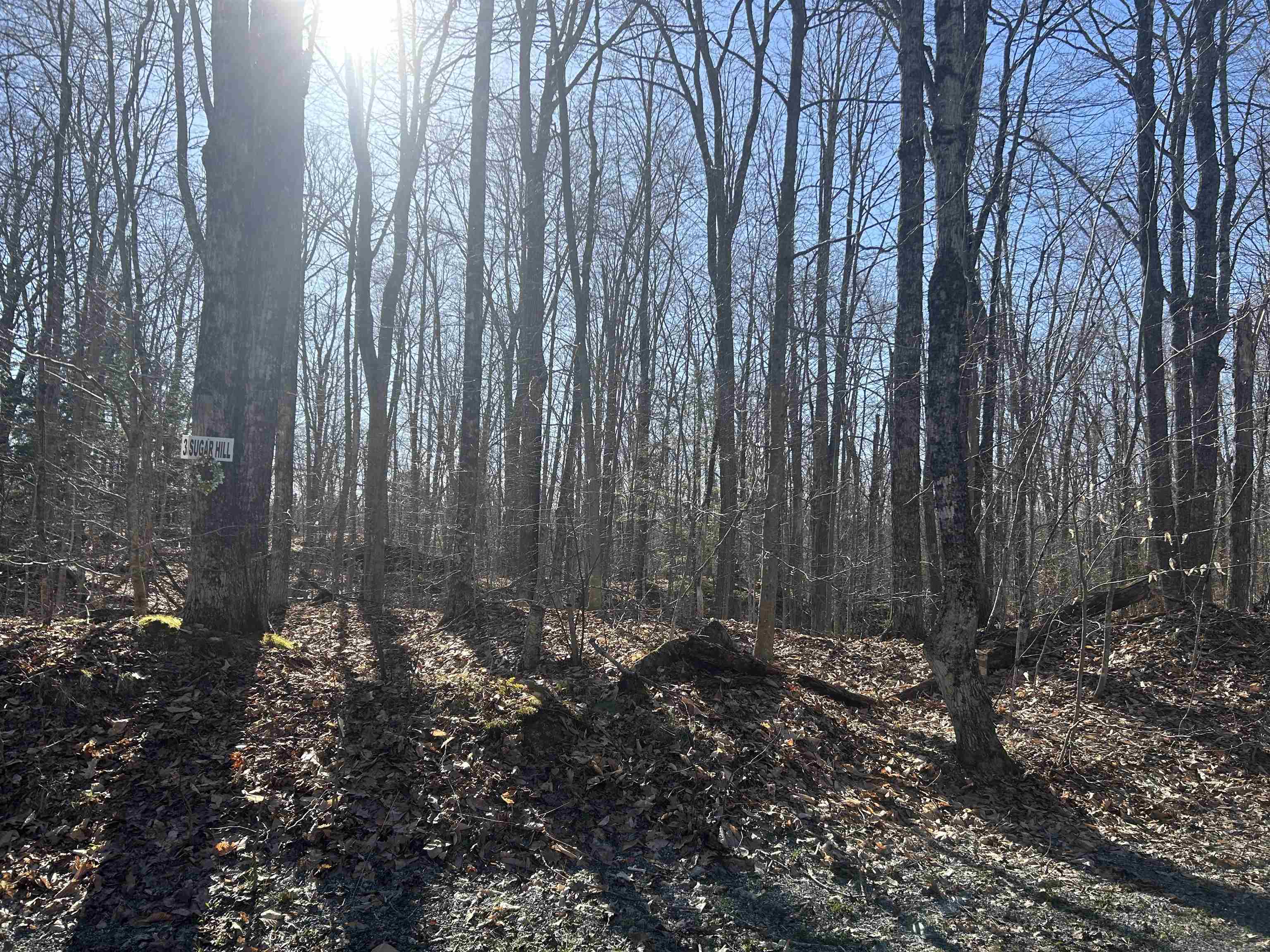Eastman Land  for sale $46,800