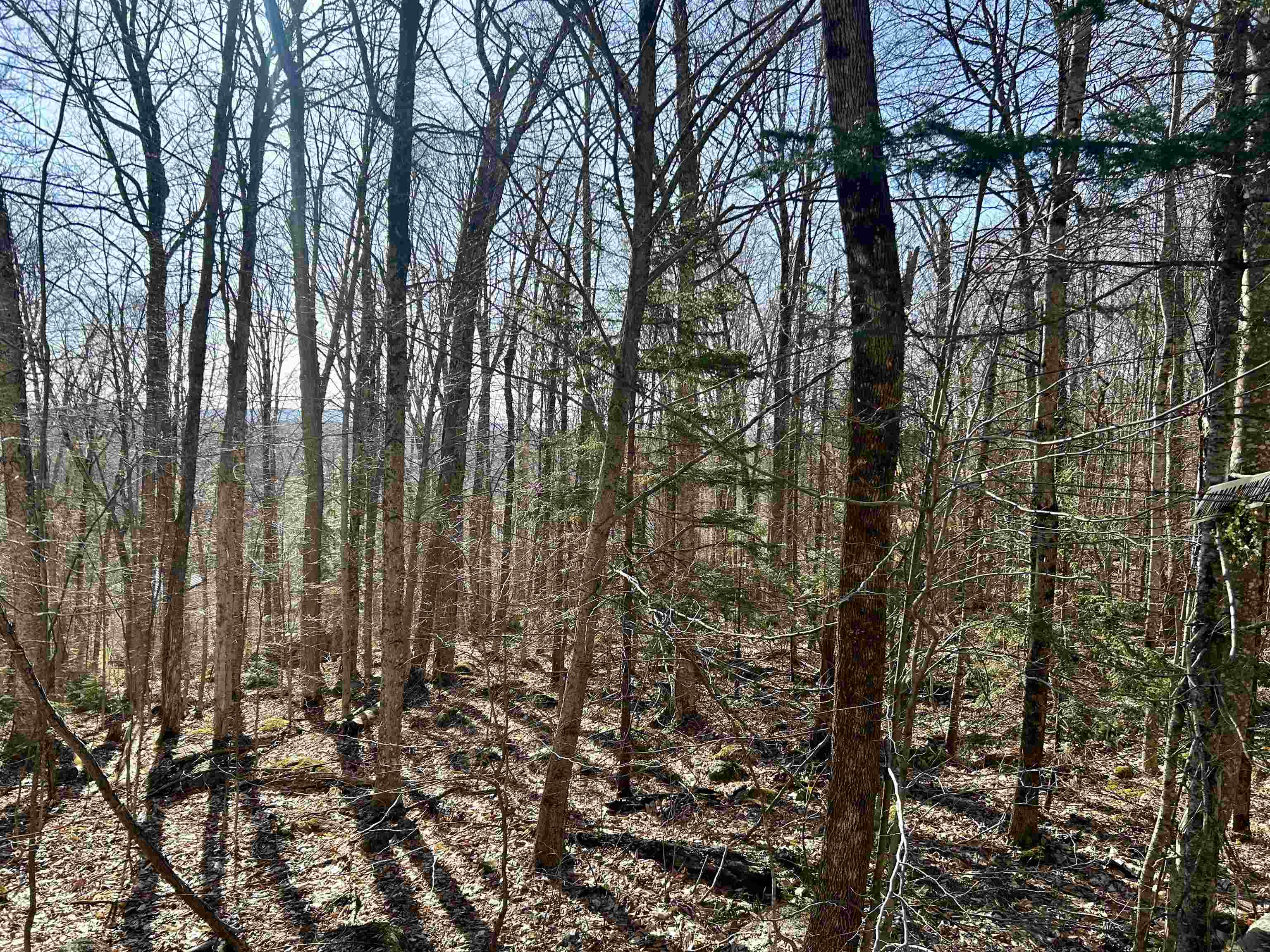 Grantham NH 03753 Land for sale $List Price is $45,000