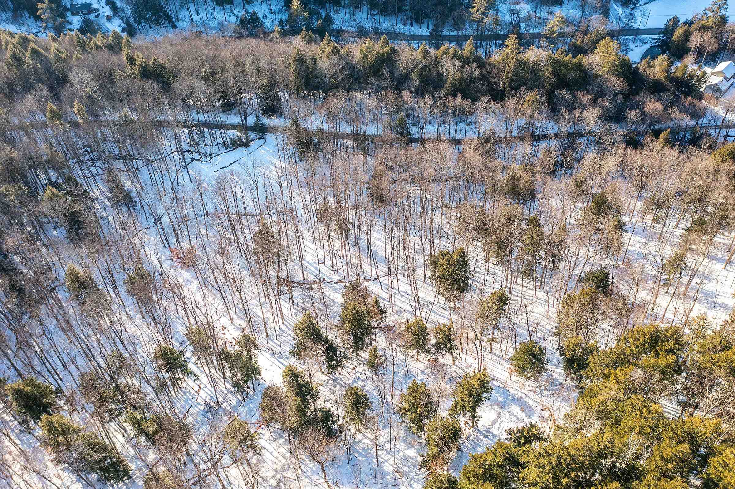 Quarry Road and the Williams River below