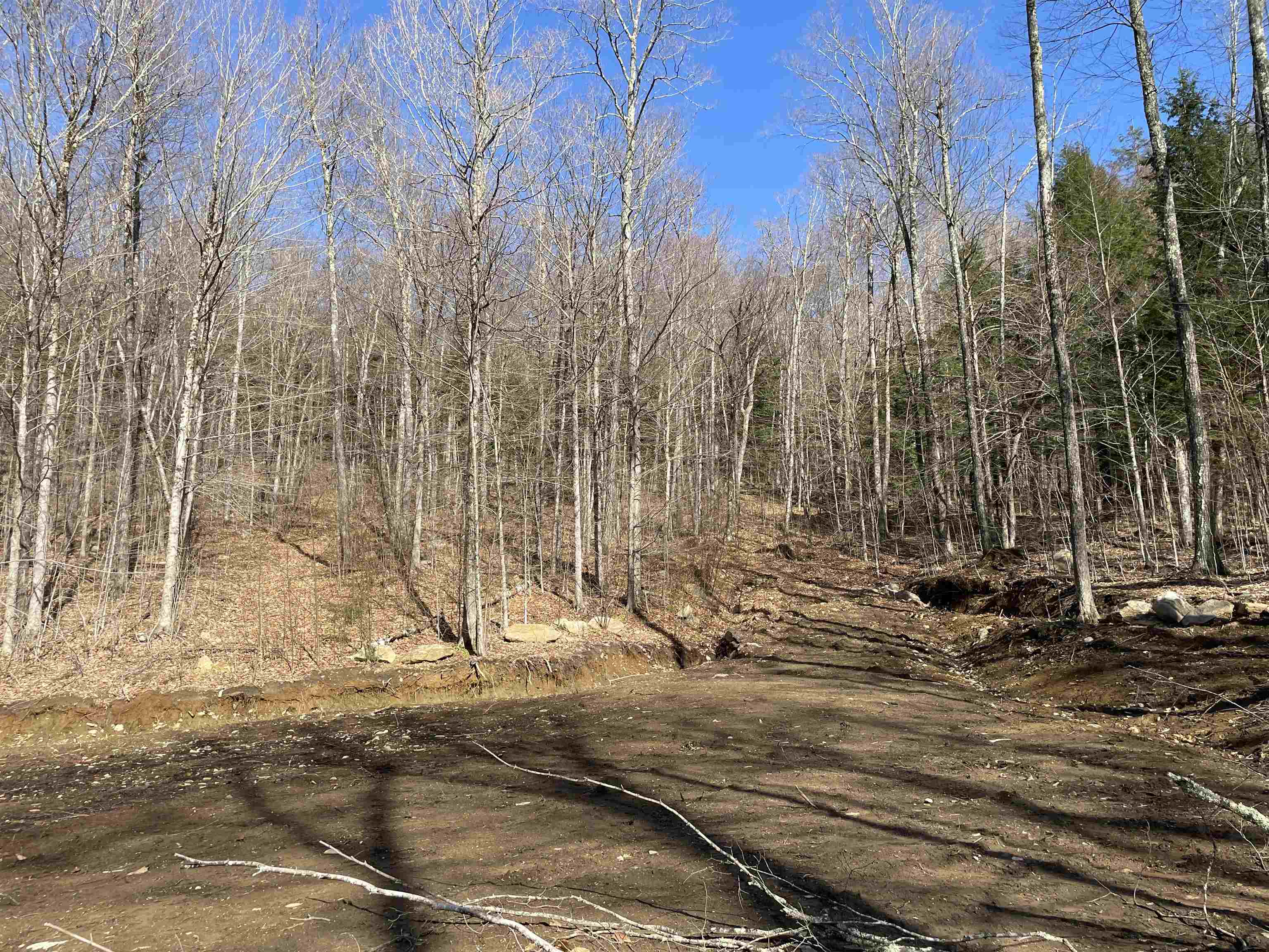 Cleared building or landing site.