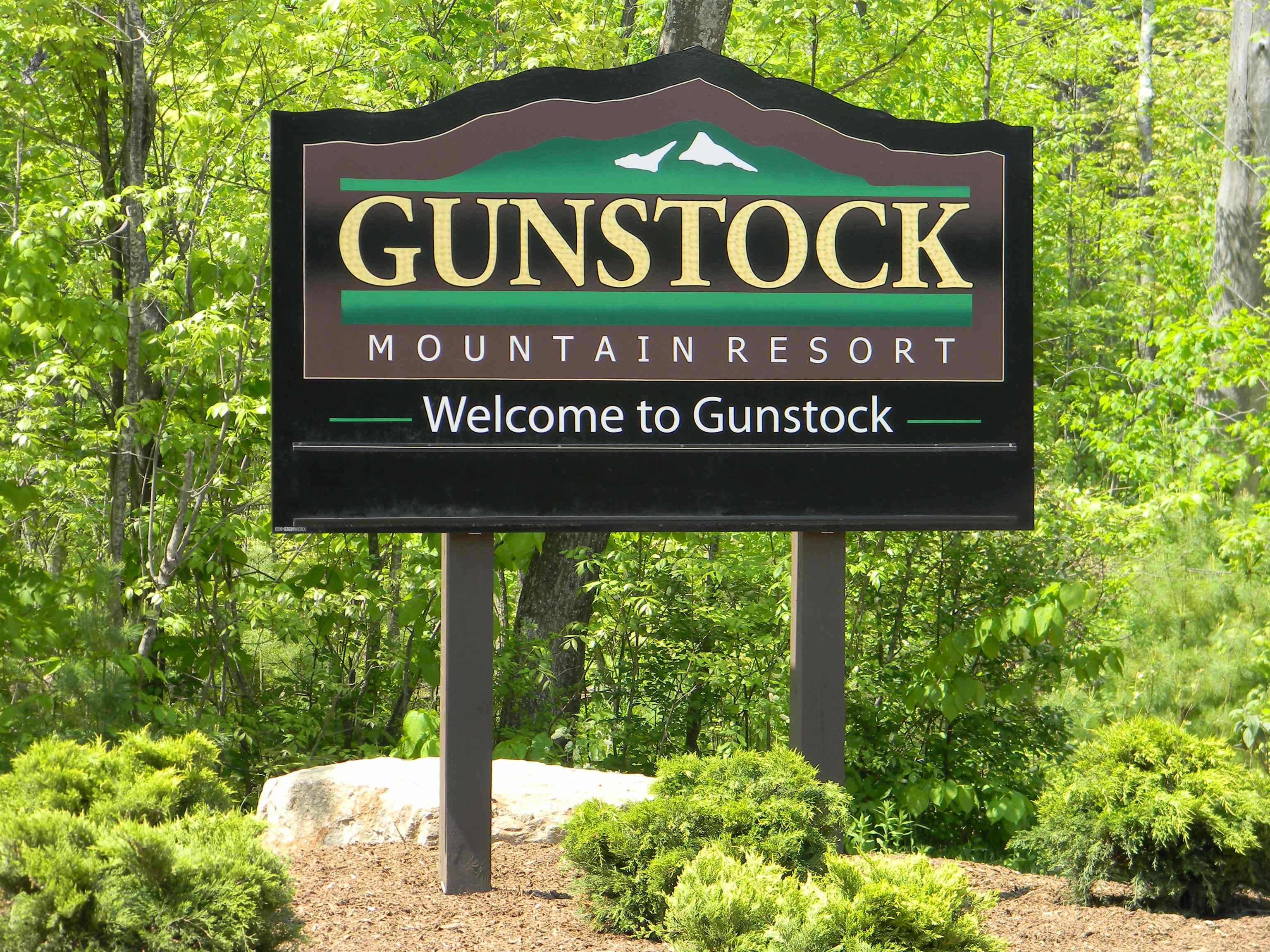 MLS #4983956 image #1