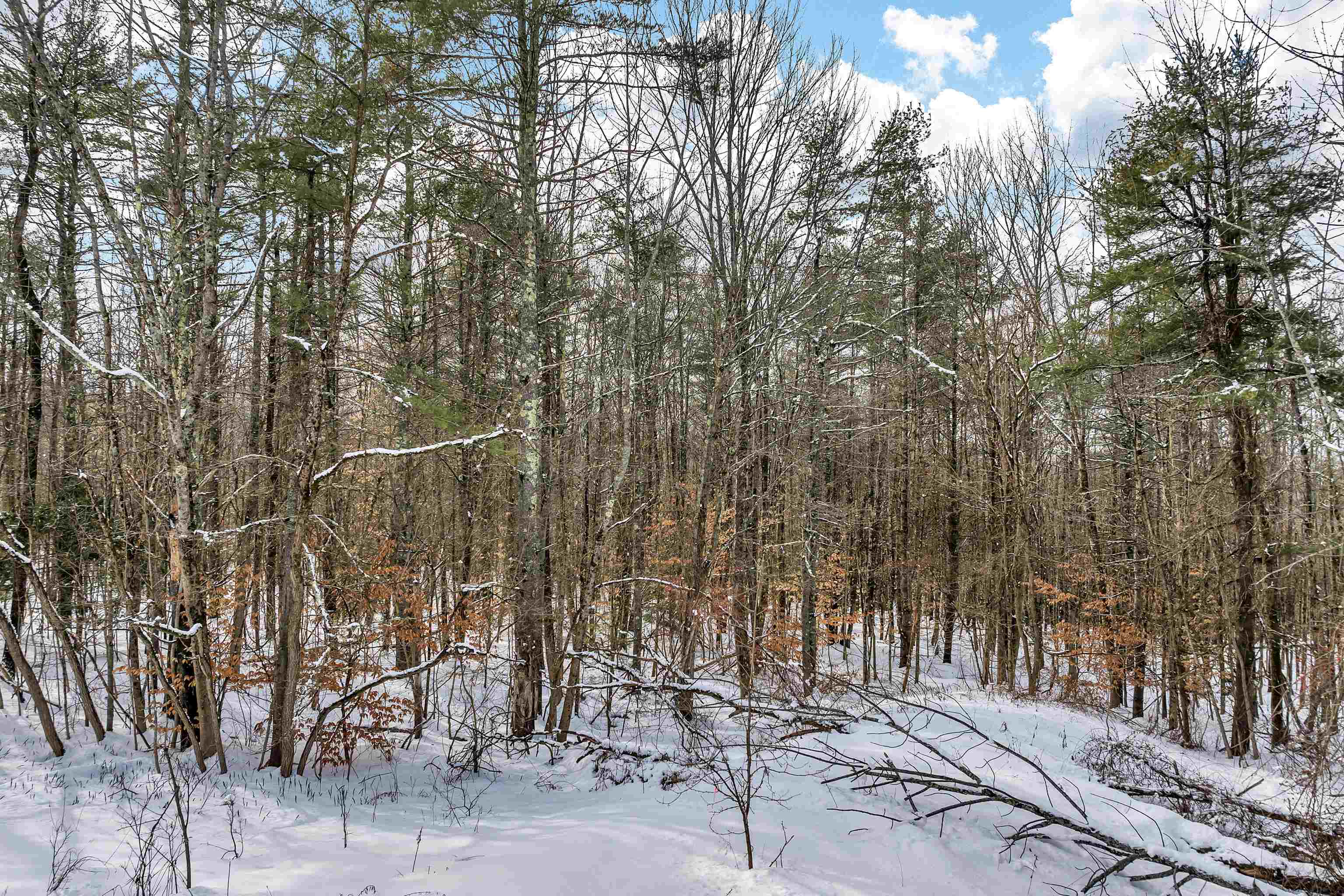 MLS #4983956 image #10