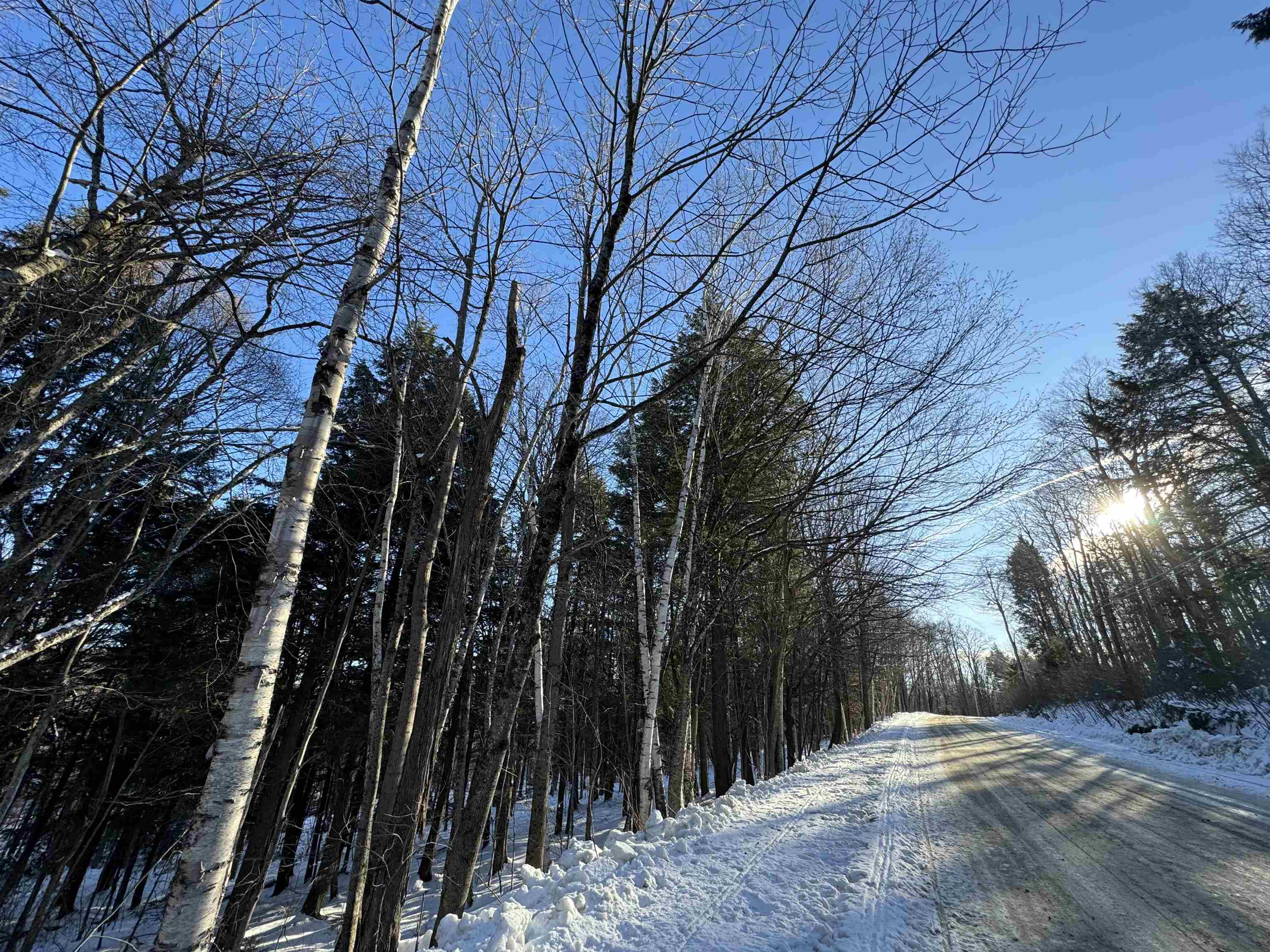 Beautiful lightly wooded one acre lot in Snow...