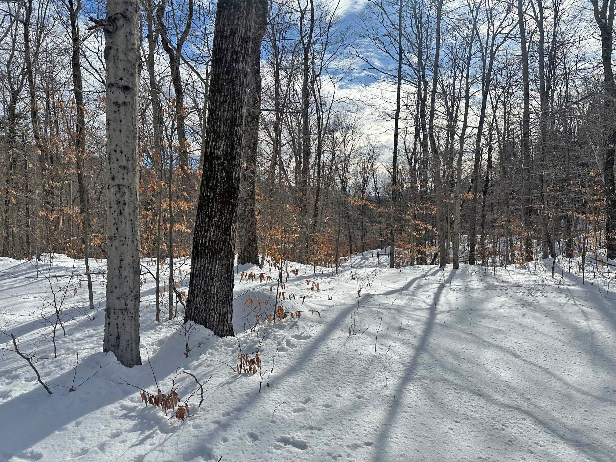 Rare 17+ acre wooded parcel with 1200'+ of...
