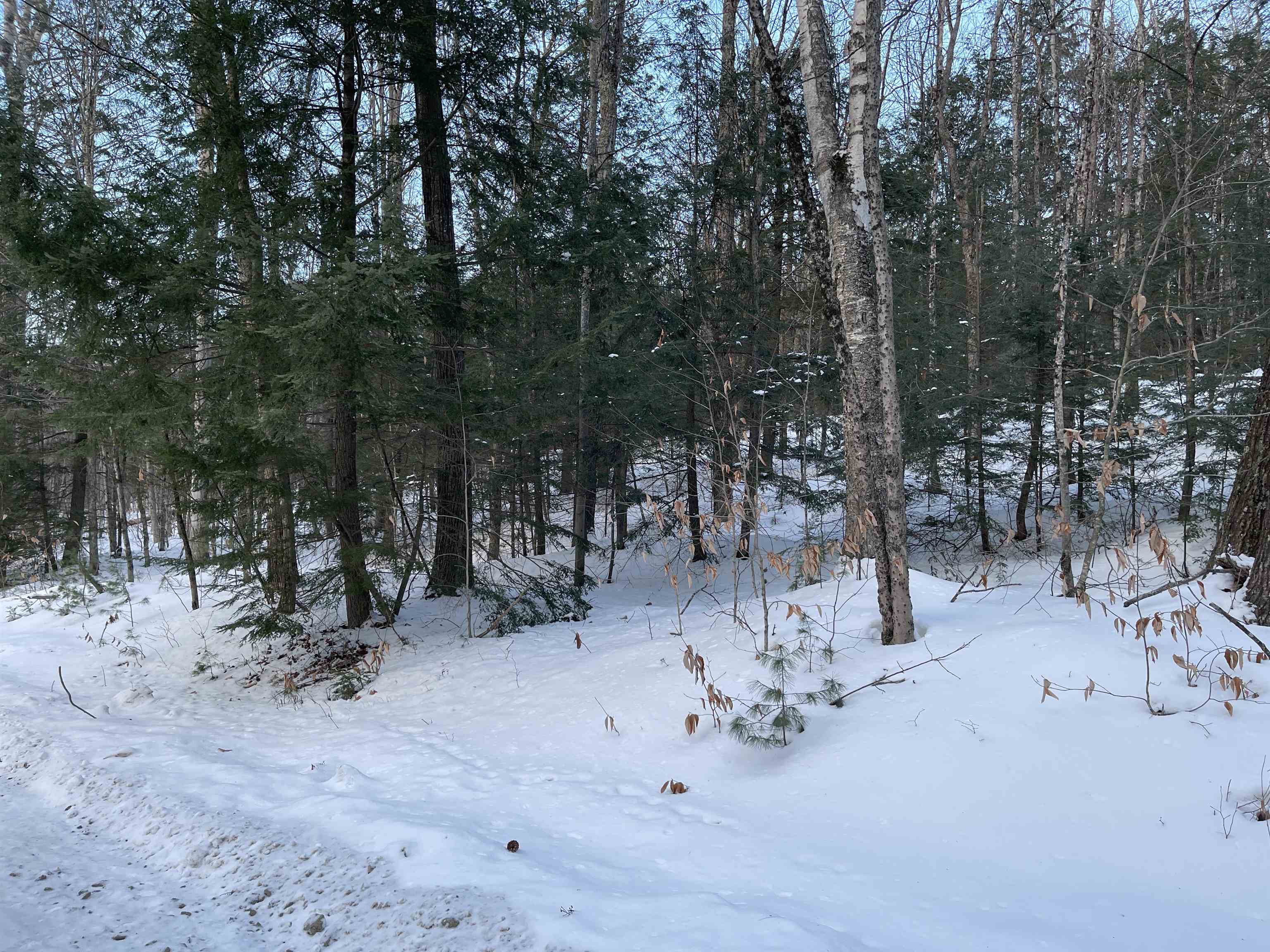 CANAAN NH LAND  for sale $$79,500 | 12.6 Acres  | Price Per Acre $0  | Total Lots 8