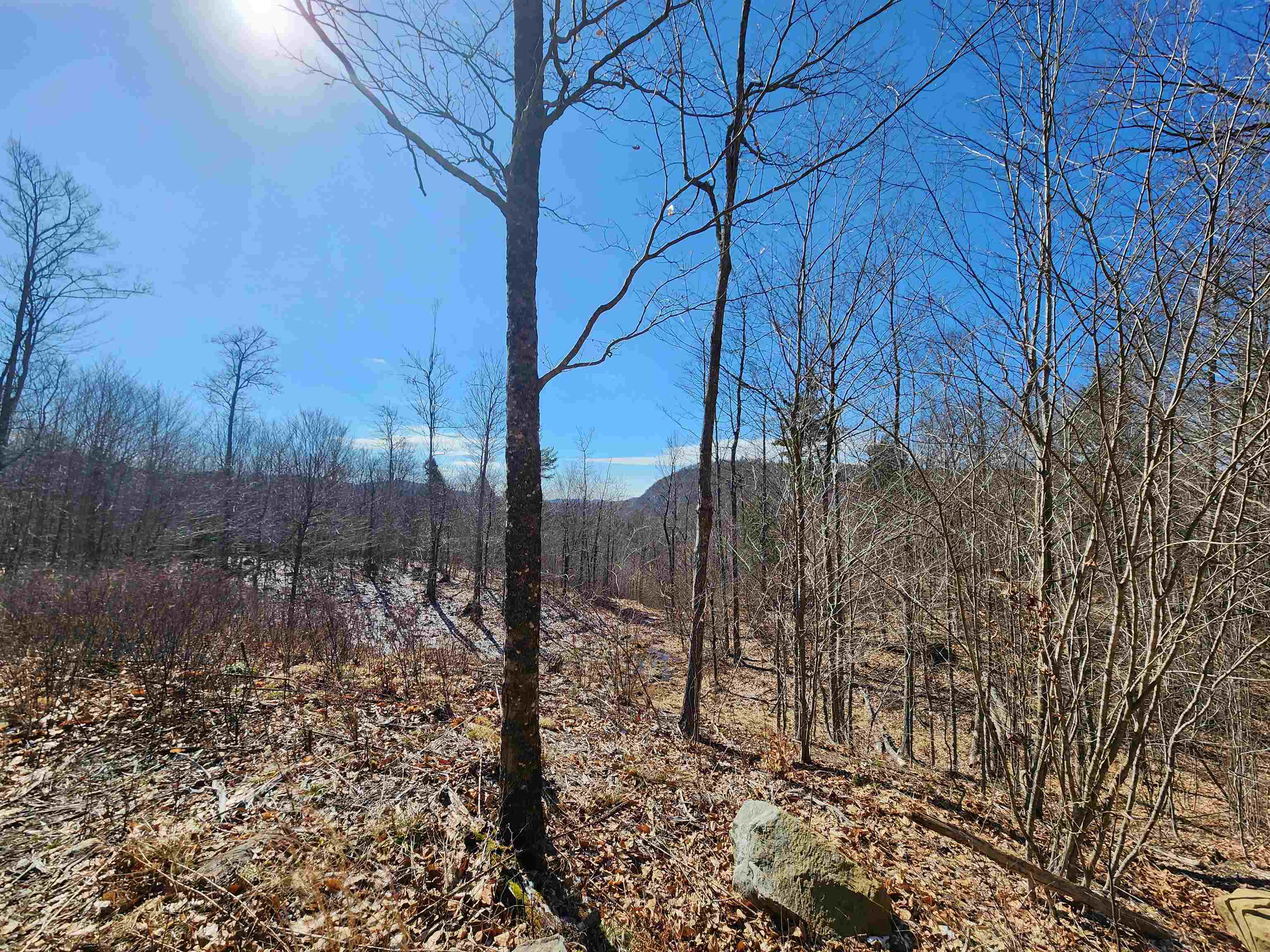 2.561 acres with view potential