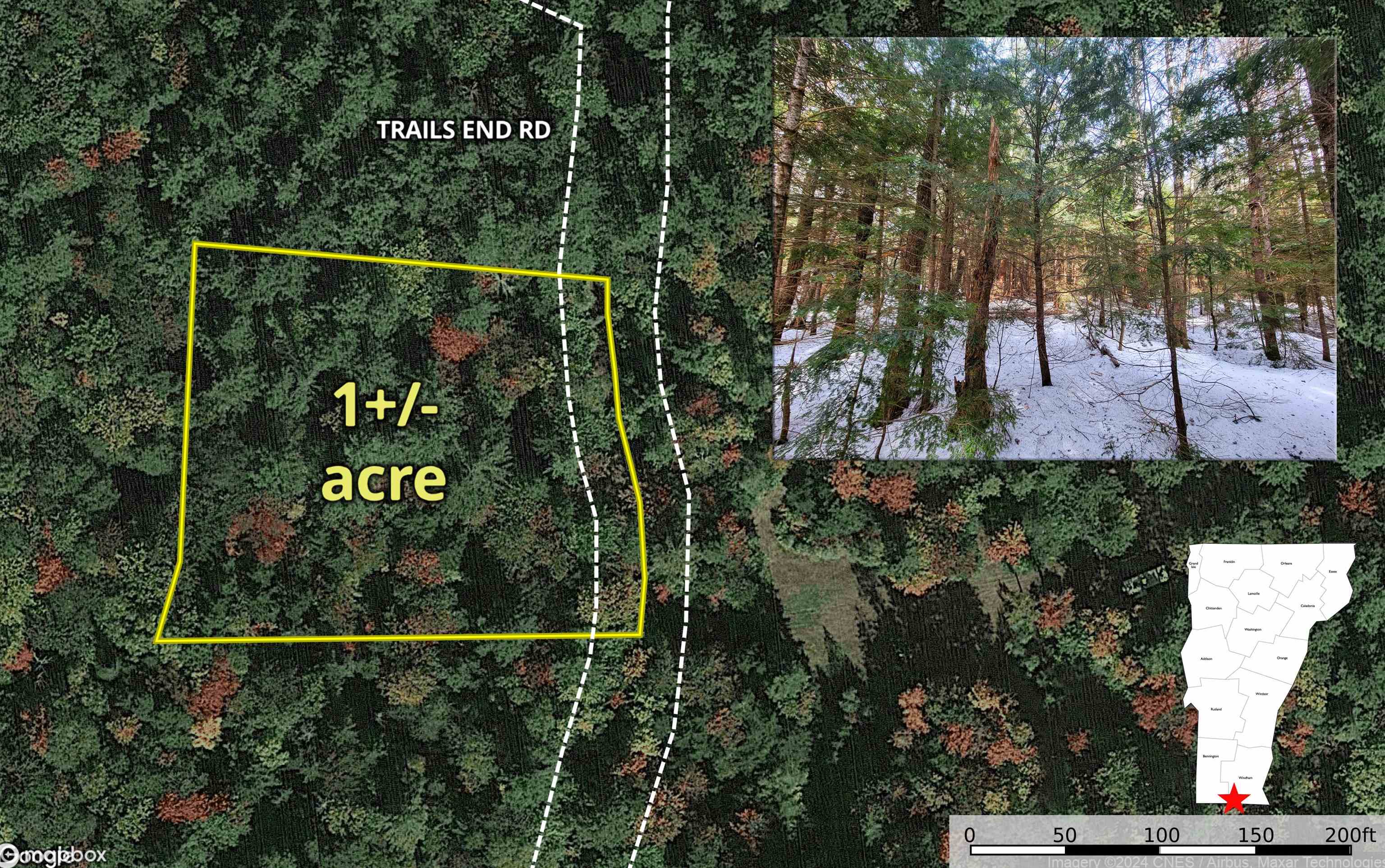 This 1+/- acre lot of mostly softwoods offers a...