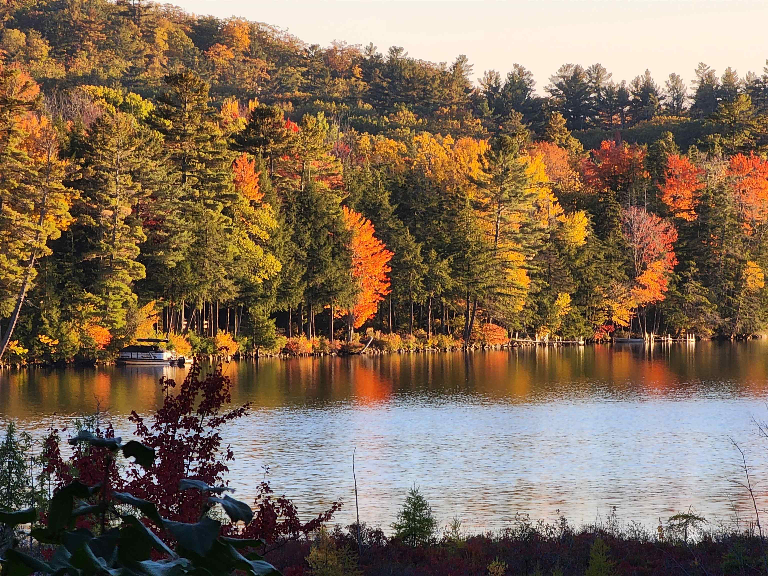 Fall On The Lake
