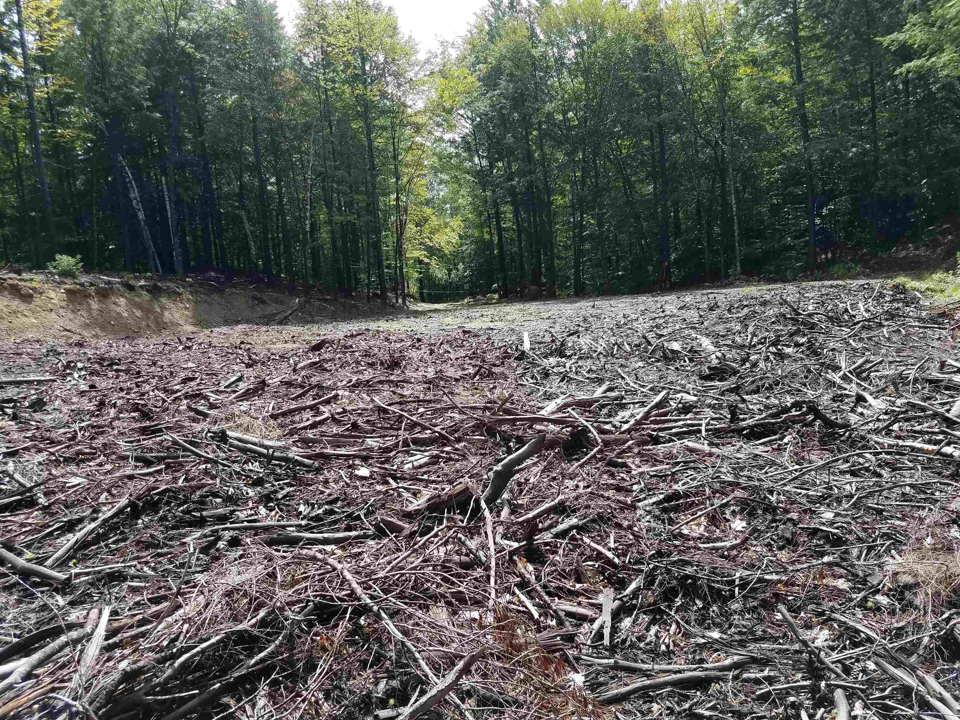 Photo of 16-65-67 Bagley Hill Road Warner NH 03278