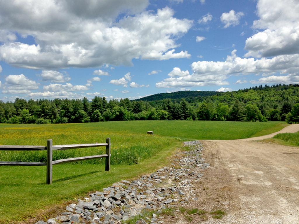 Verdant pastoral setting