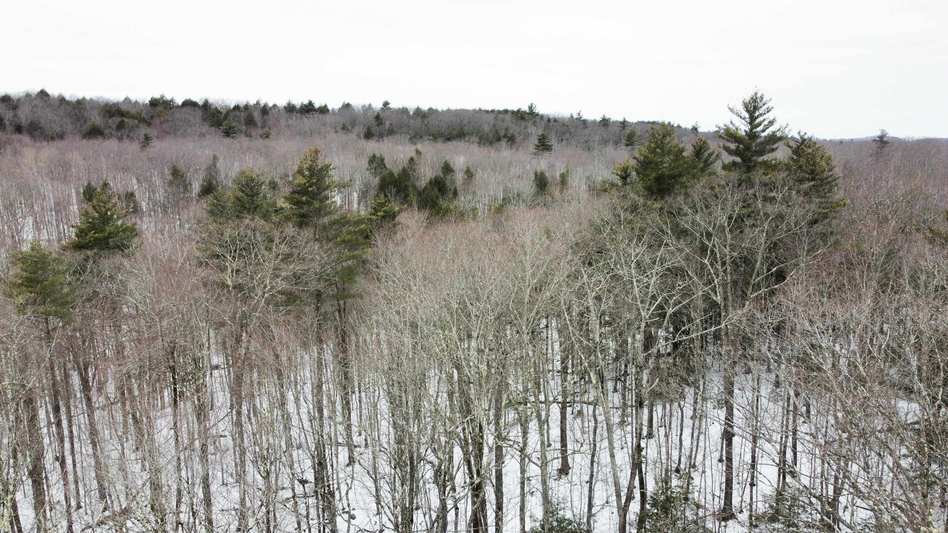 ALSTEAD NH LAND  for sale $$52,000 | 5.7 Acres  | Price Per Acre $0 