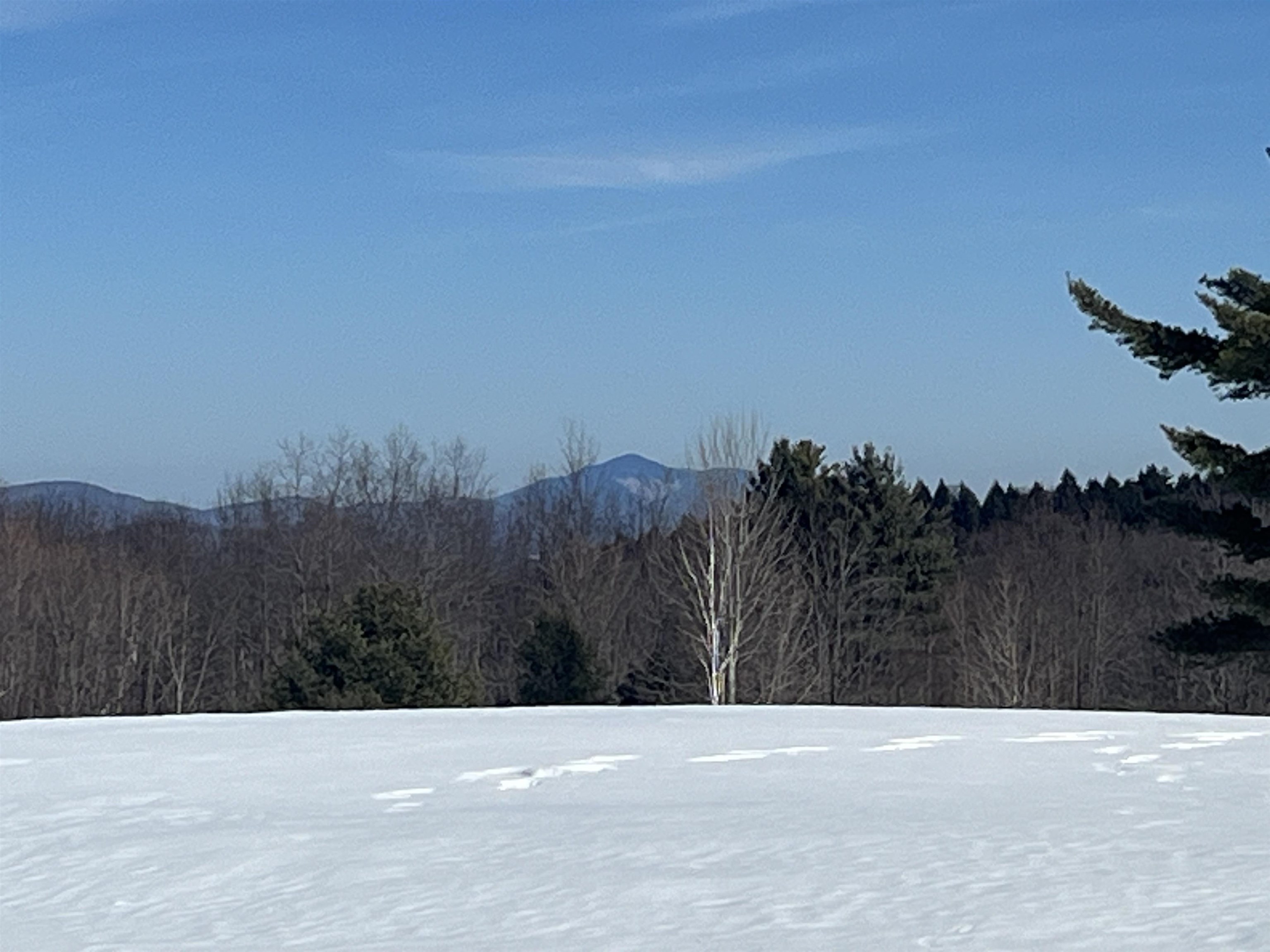 ANDOVER VT Land / Acres for sale