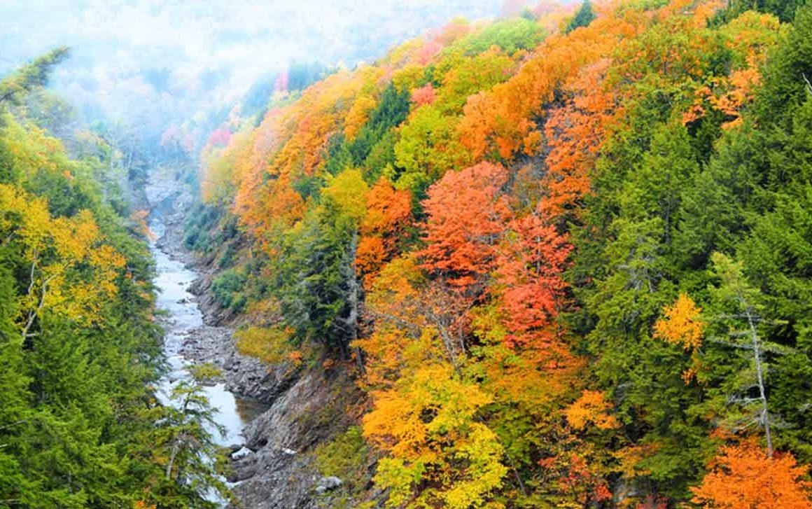 Foliage at Quechee Gorge
