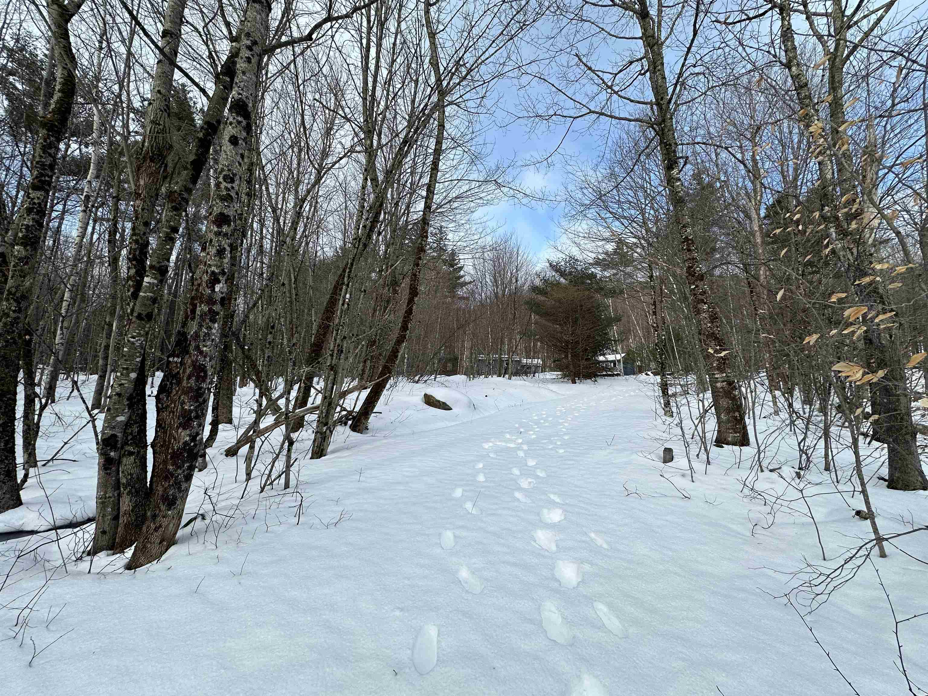 WILMOT NH Land / Acres for sale