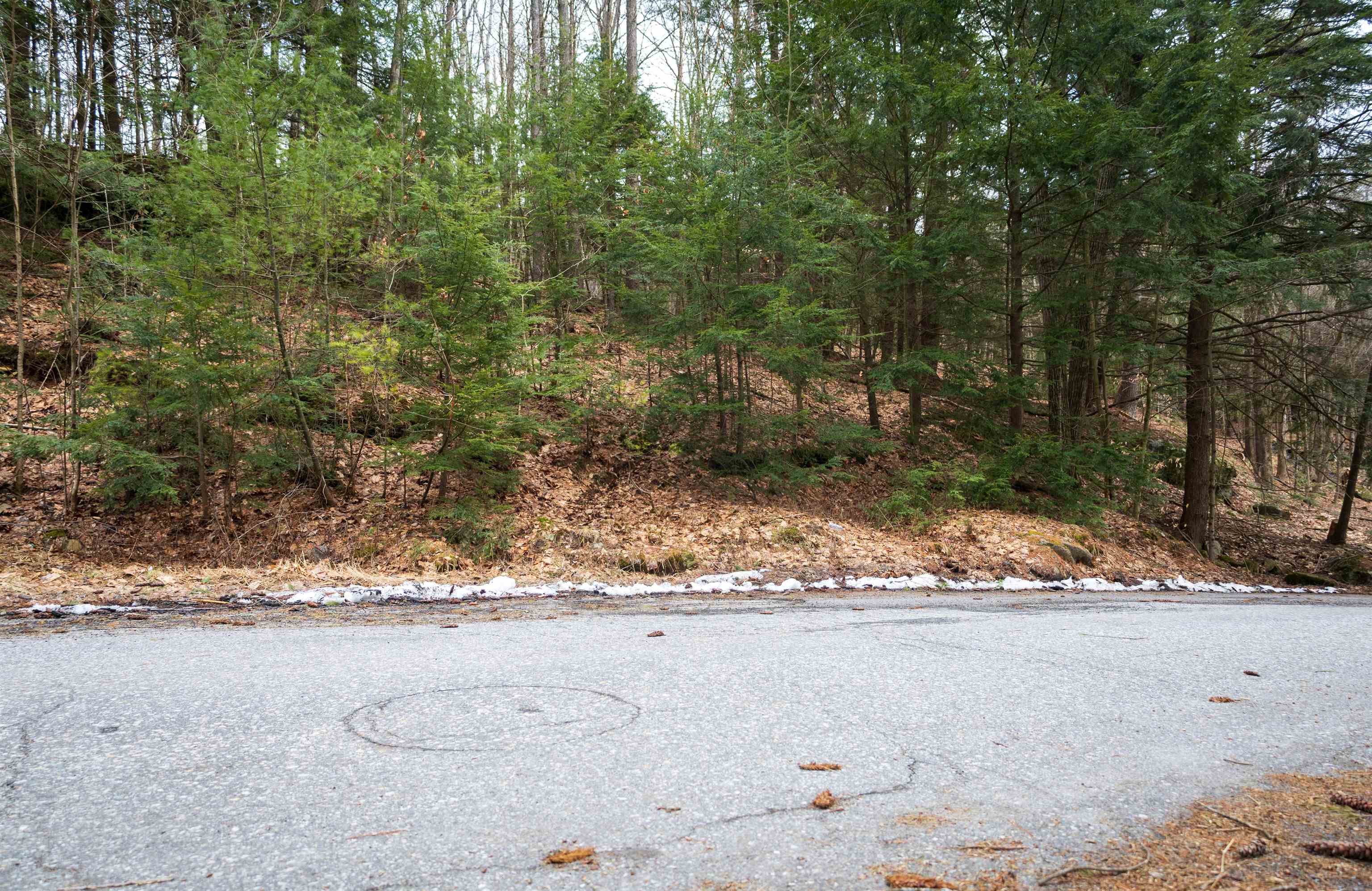 Sunapee NH 03782 Land for sale $List Price is $124,000