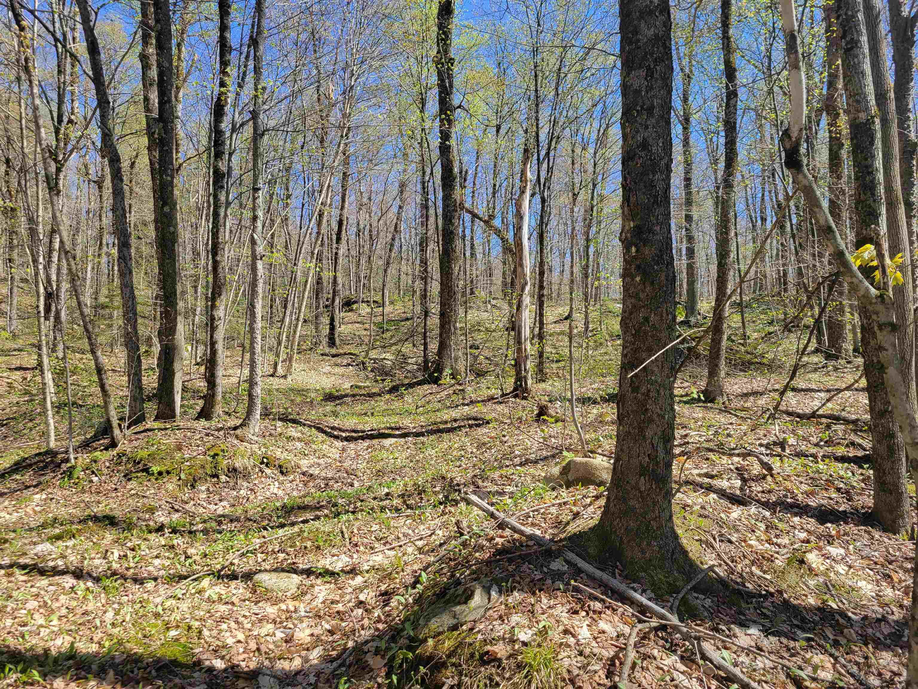 Photo of Lot 120 Beartown Road Underhill VT 05489