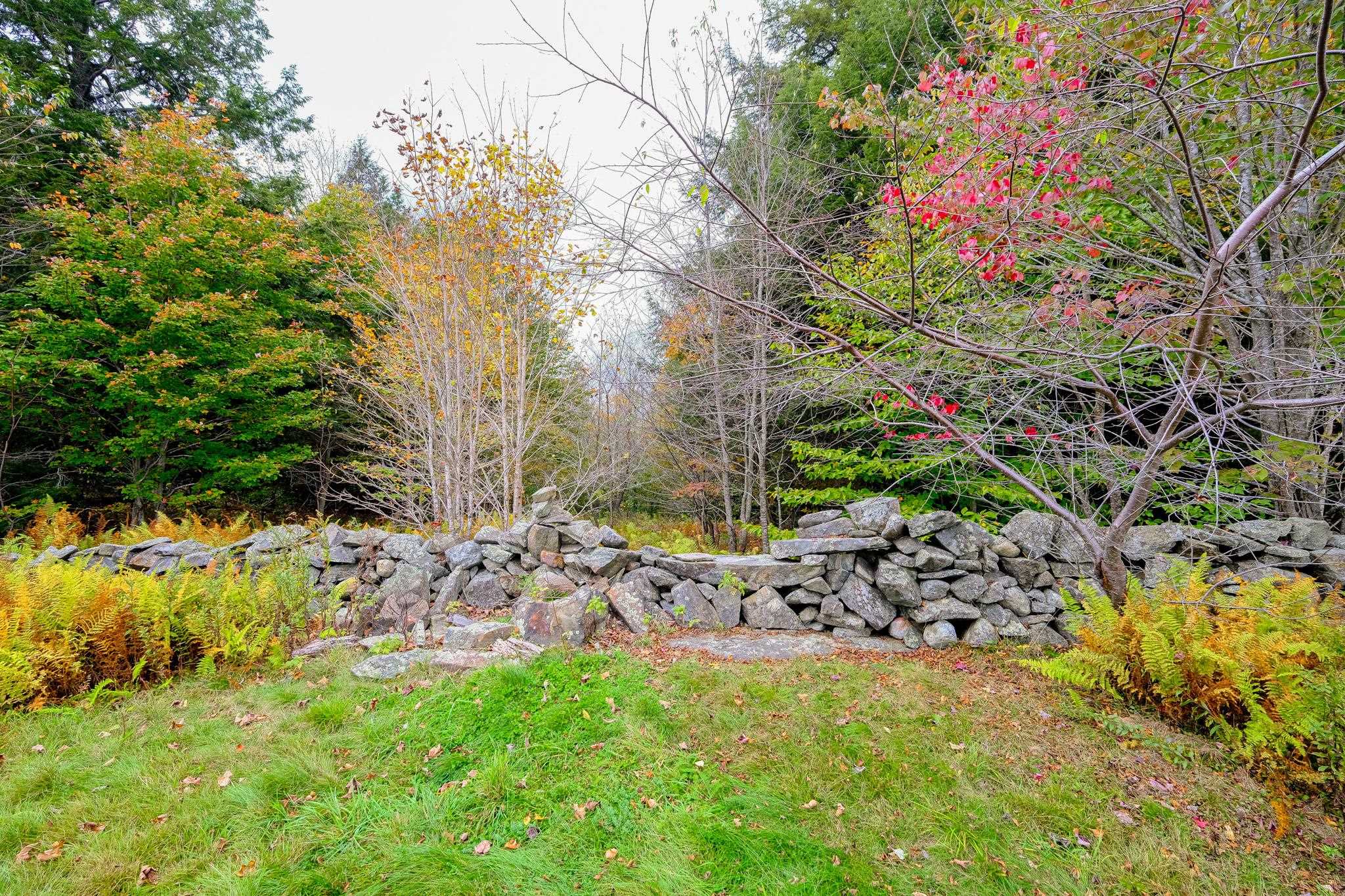 MOUNT HOLLY VT LAND  for sale $$265,000 | 50 Acres  | Price Per Acre $0 