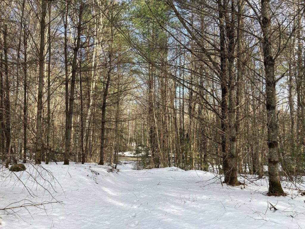 CANAAN NH LAND  for sale $$149,900 | 15.5 Acres  | Price Per Acre $0  | Total Lots 4