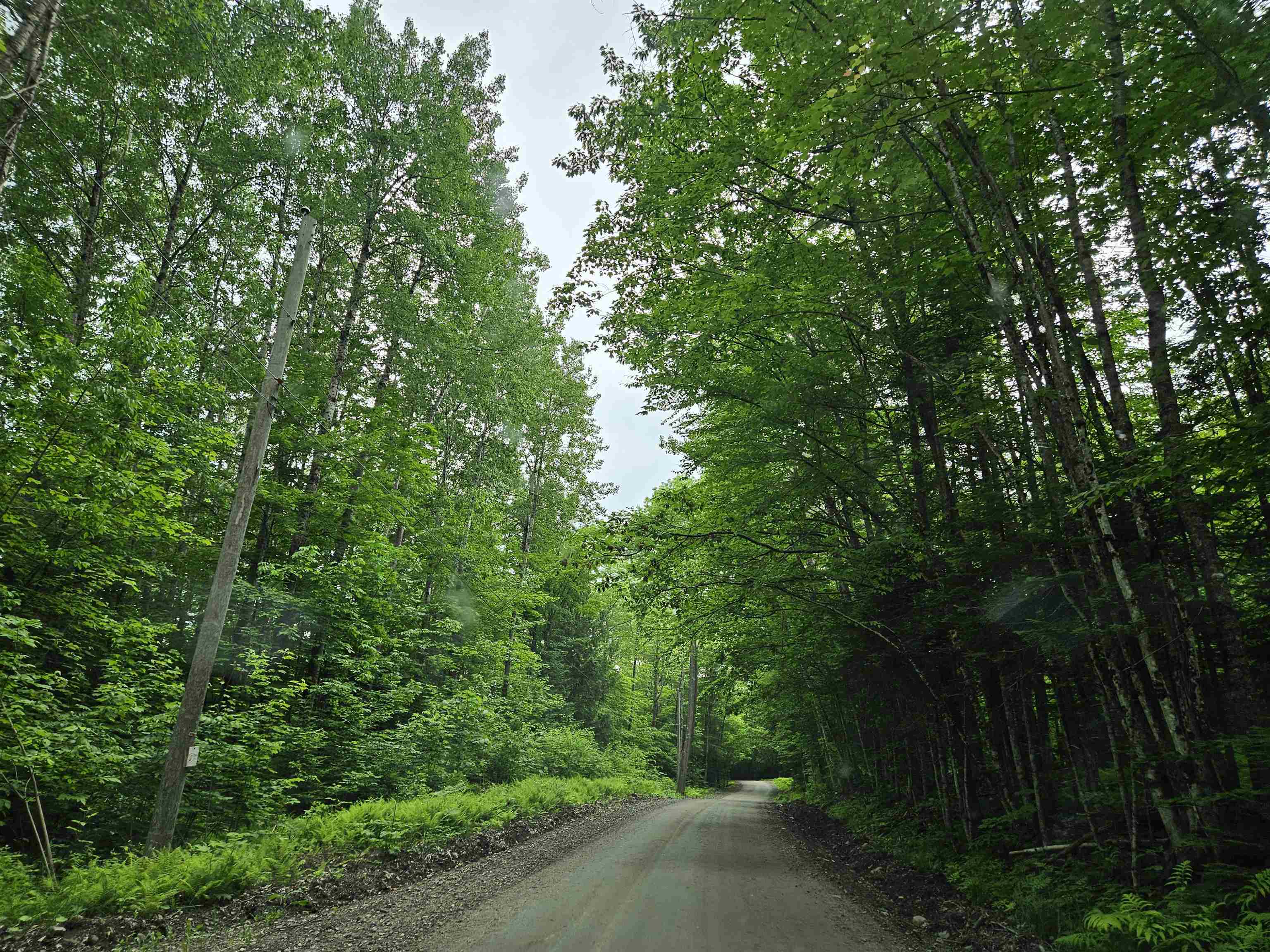 Photo of Lot 90 Faraway Road Dalton NH 03598