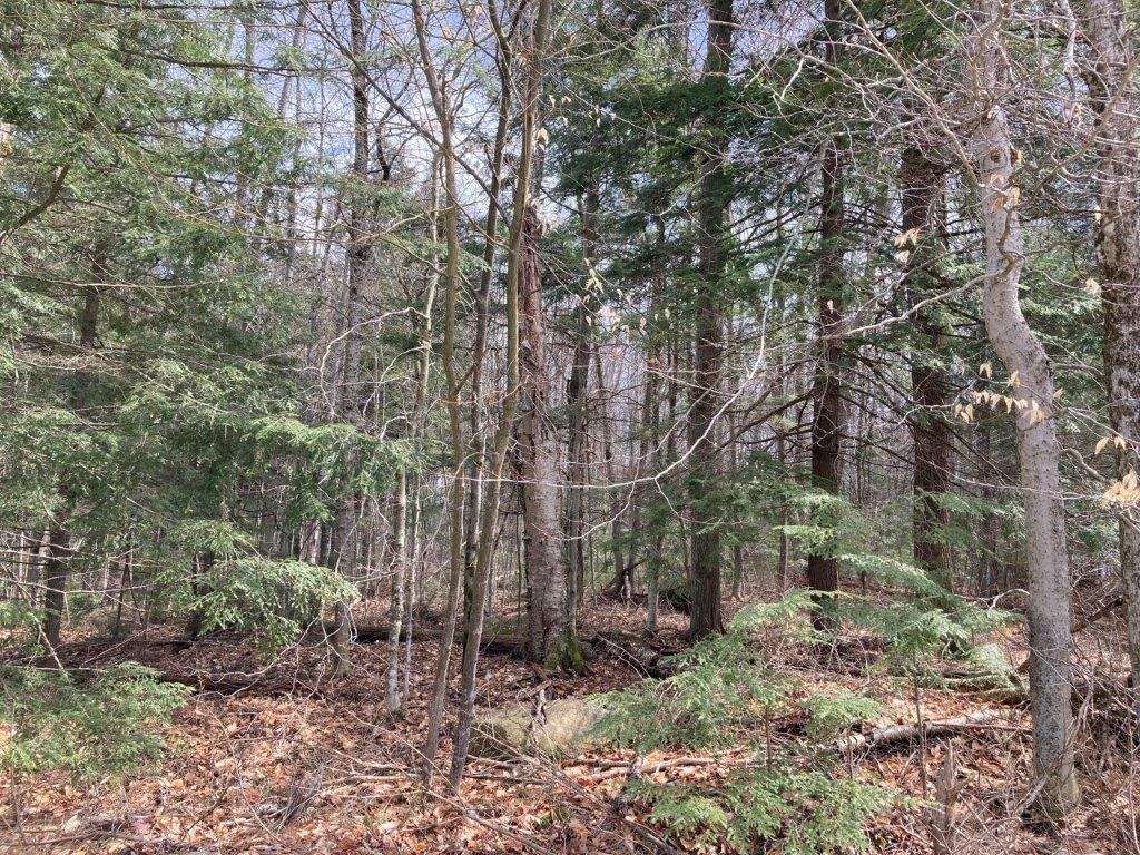 Canaan NH Land  for sale $99,900