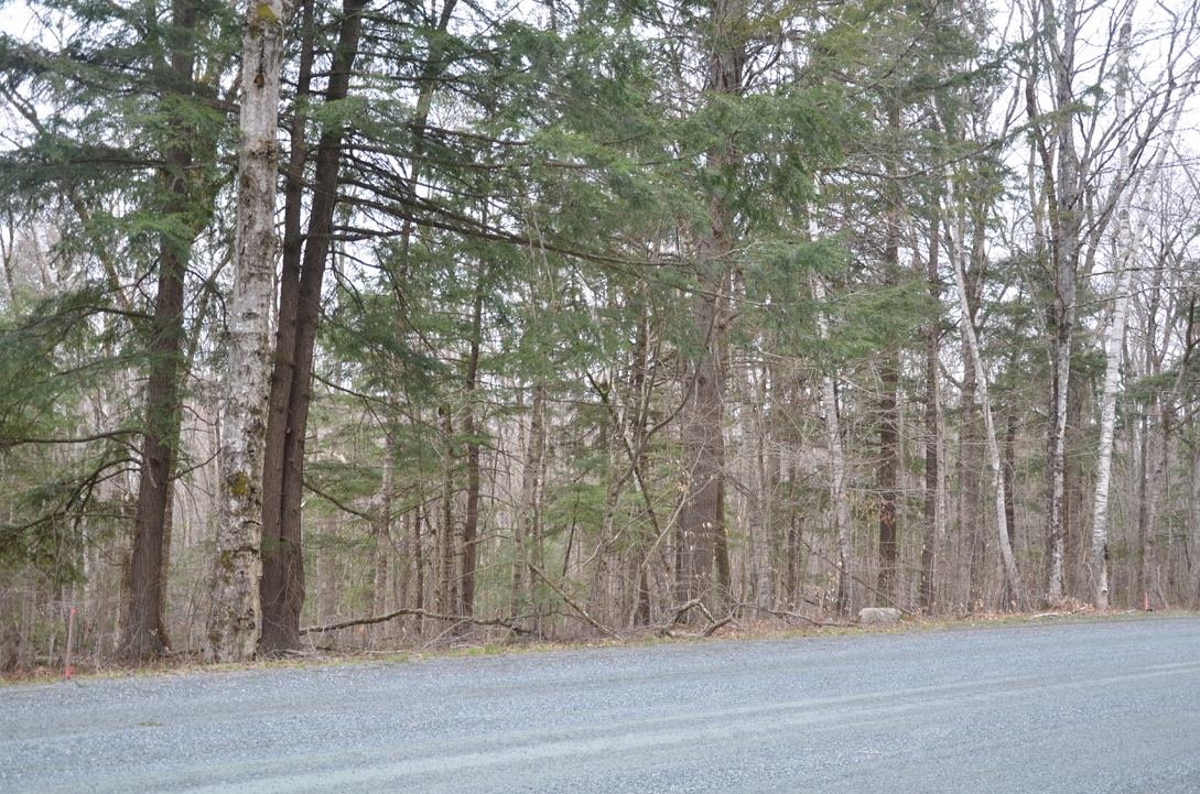 Village of Eastman in Town of Grantham NH  03753 Land for sale $List Price is $45,000