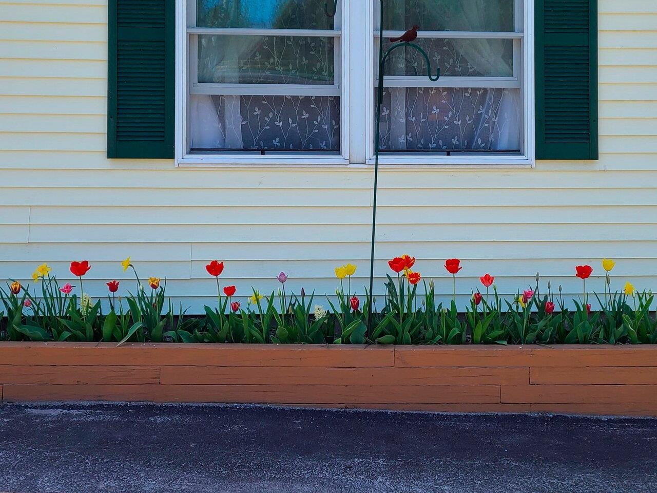 Mature Flower Beds!