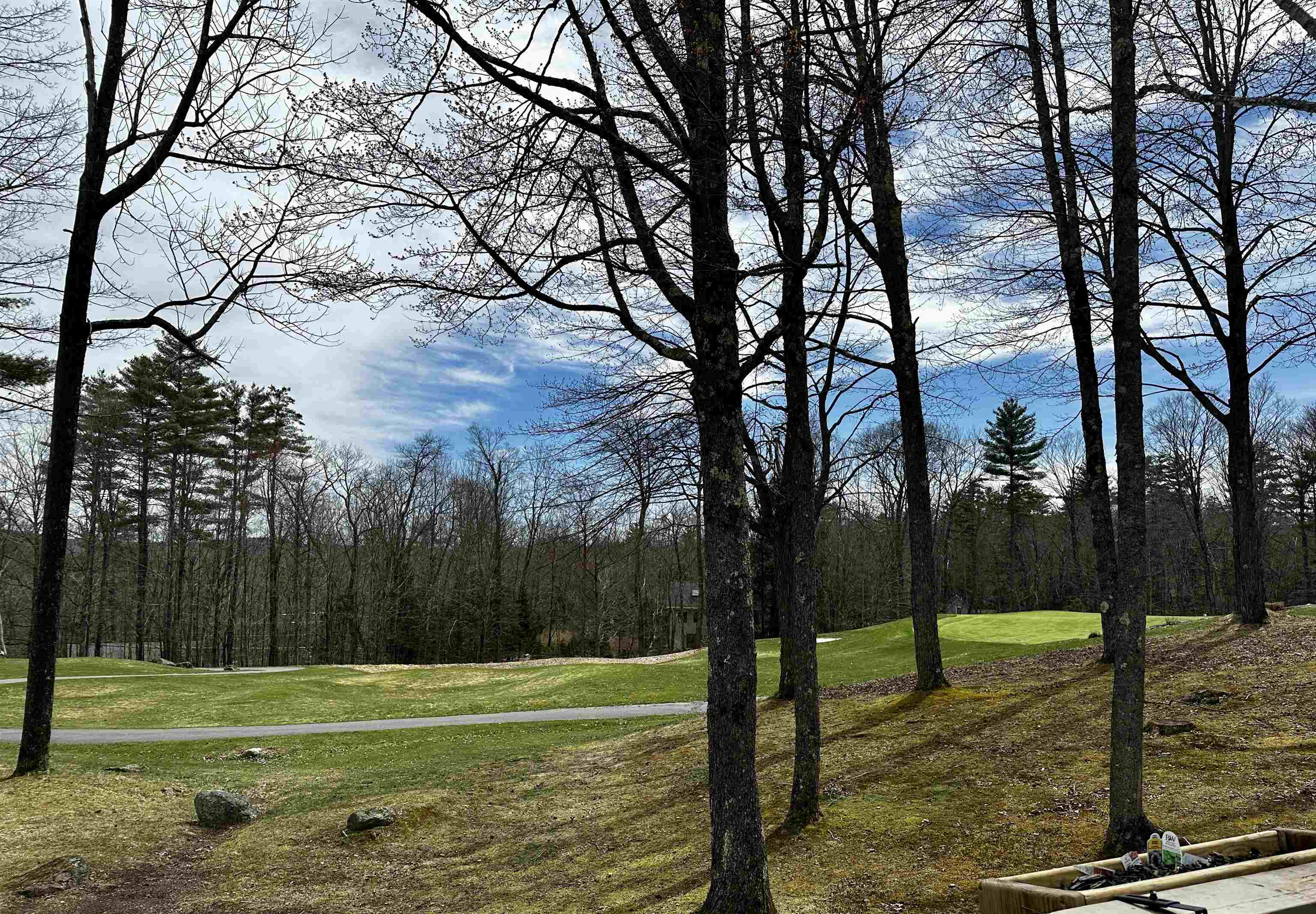VILLAGE OF EASTMAN IN TOWN OF GRANTHAM NH Condo for sale $$459,000 | $259 per sq.ft.