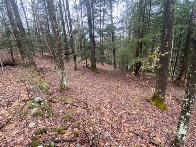 CHESTER VT Land / Acres for sale