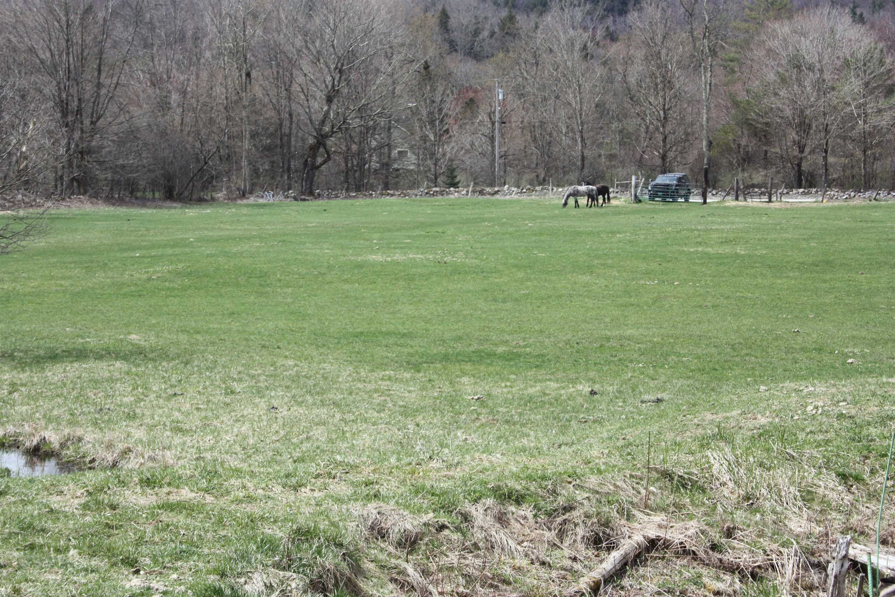 Level acreage with road frontage, pasture for 2 horses.