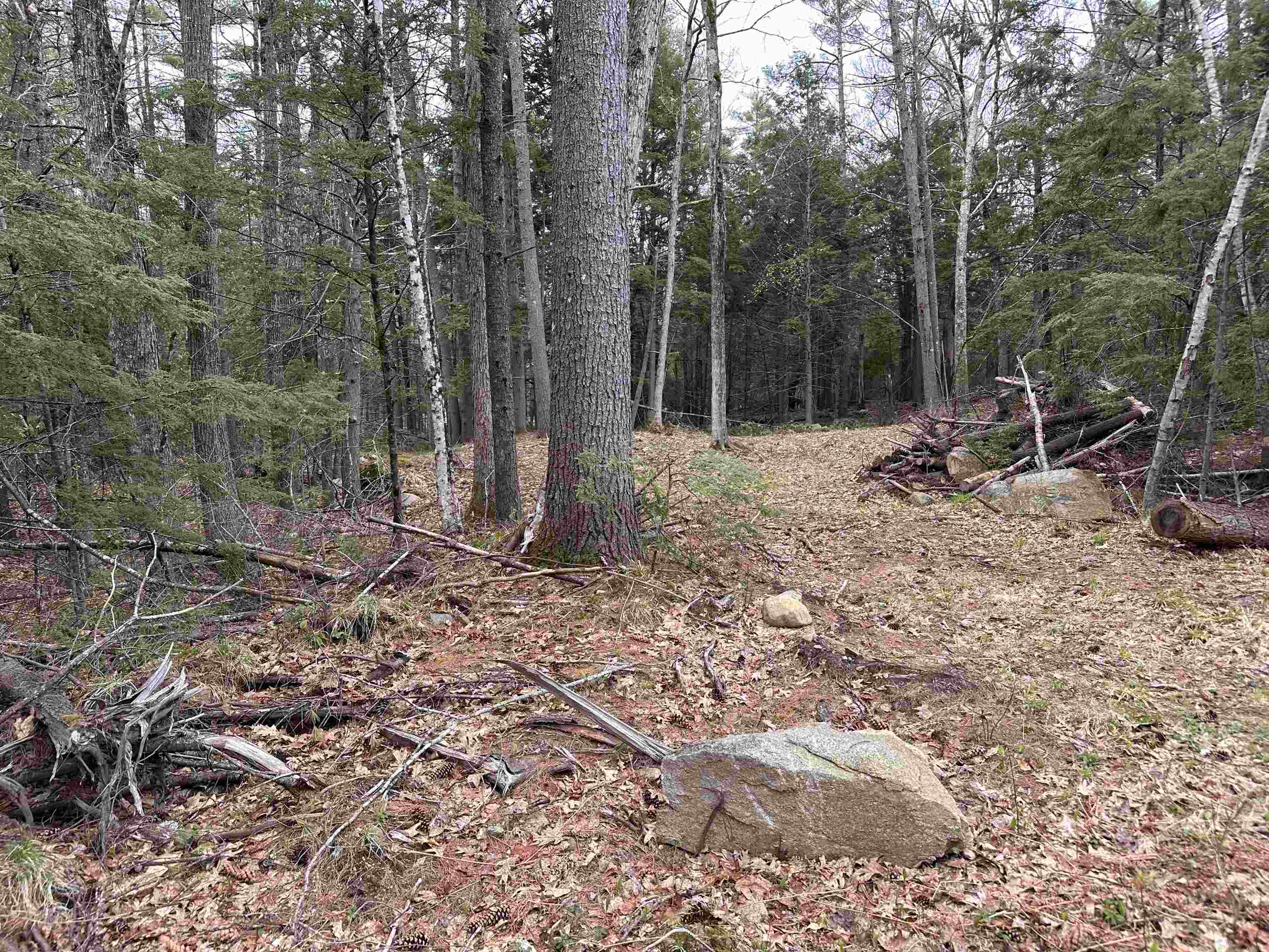 Photo of Lot 24 Westwood Drive Wolfeboro NH 03894