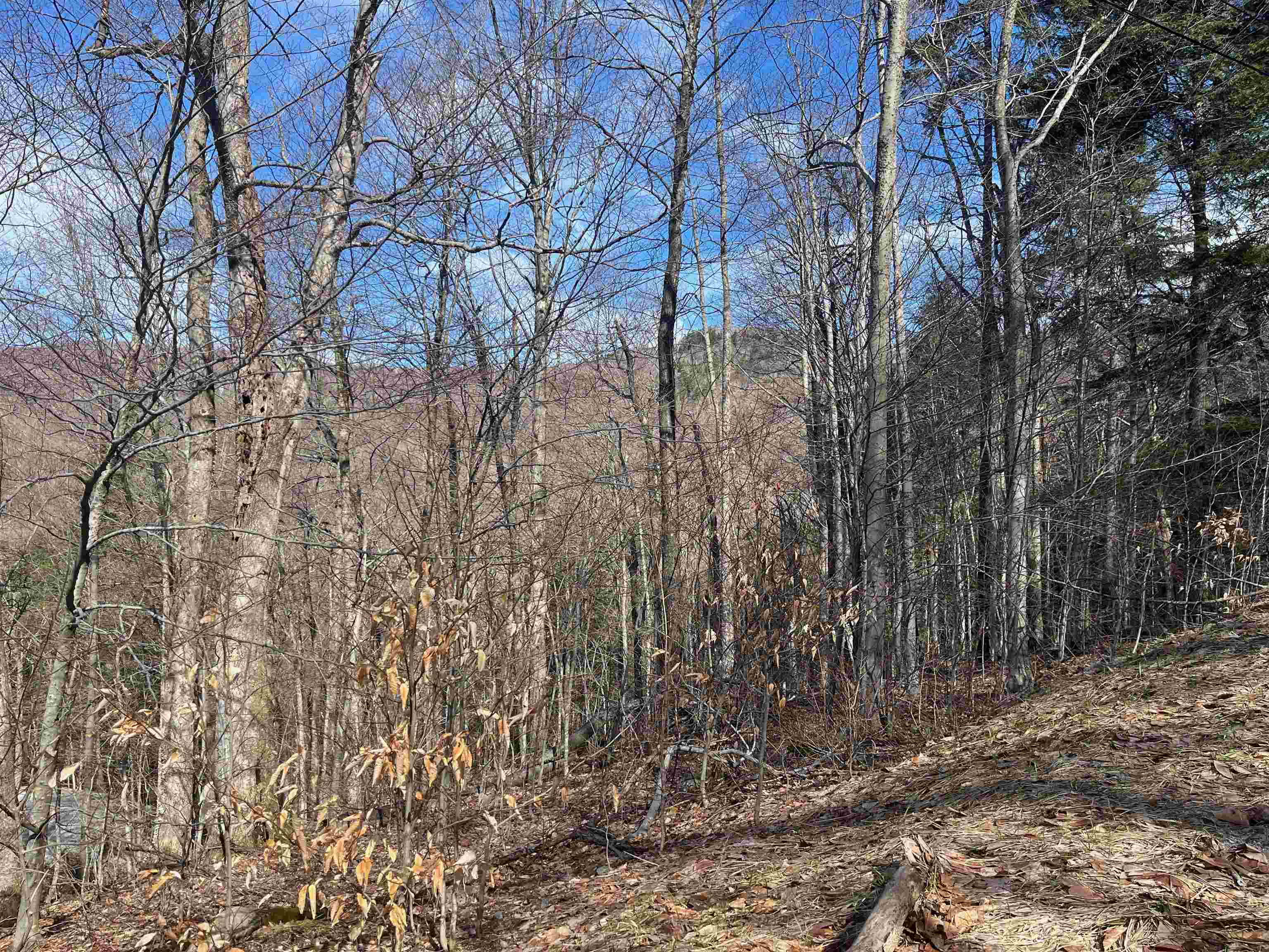 PLYMOUTH VT LAND  for sale $$50,000 | 1.98 Acres  | Price Per Acre $0 