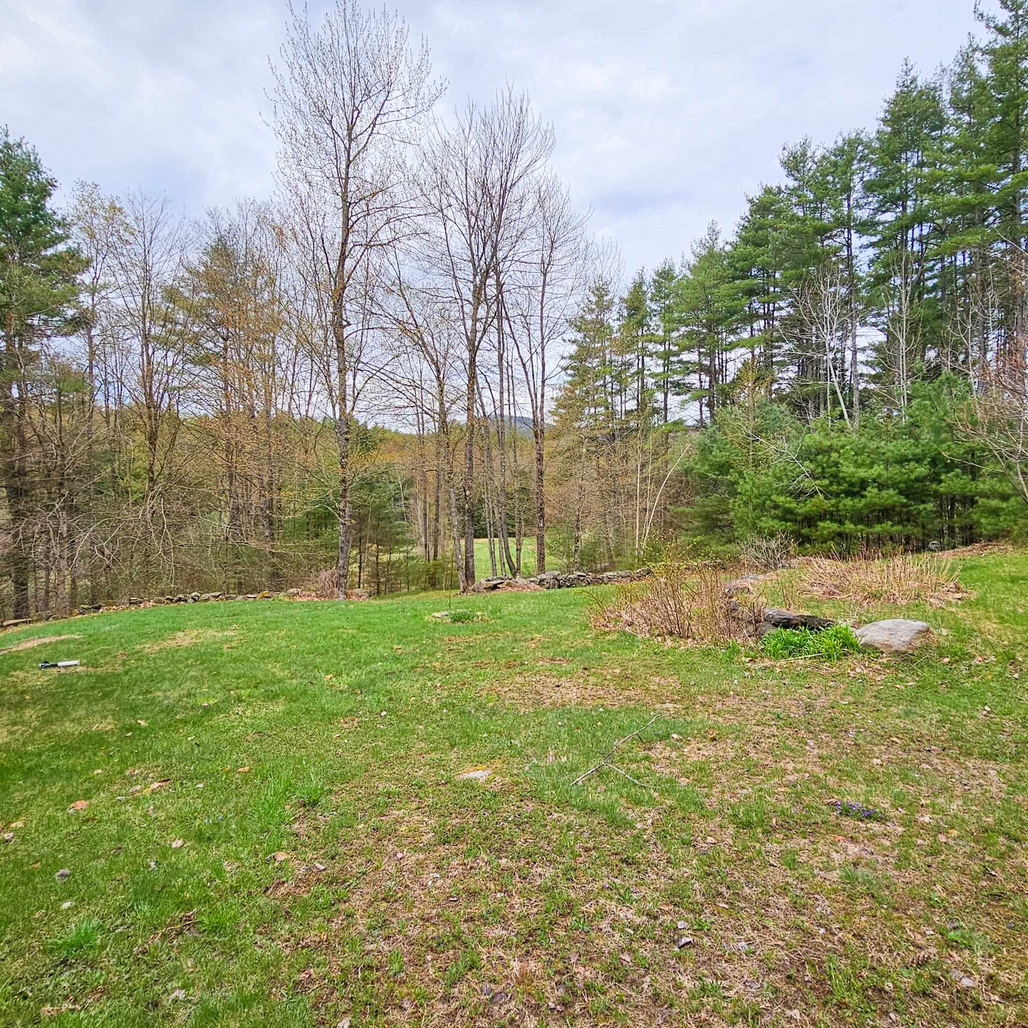 Back Yard 21400133