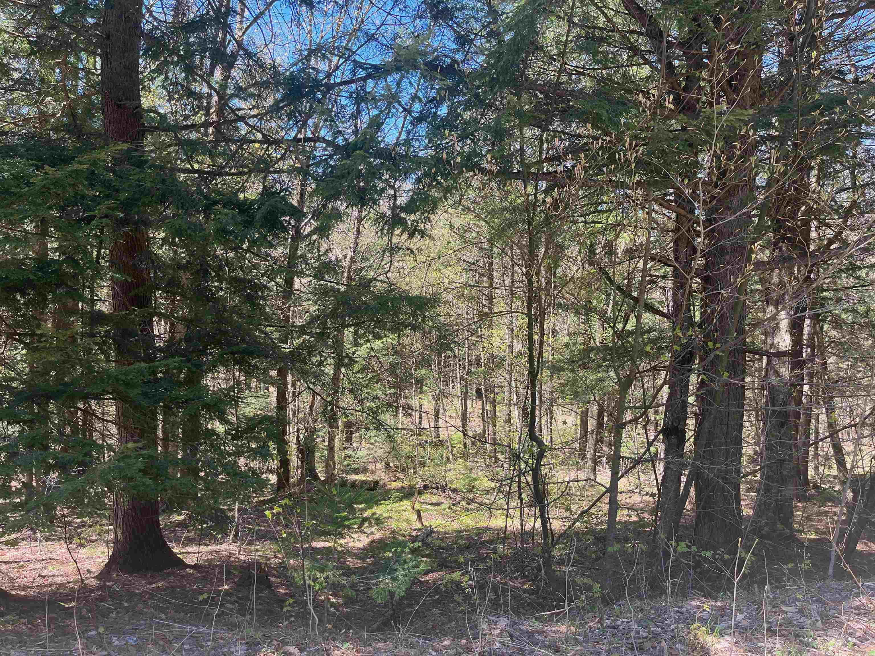 PLYMOUTH VT Land / Acres for sale