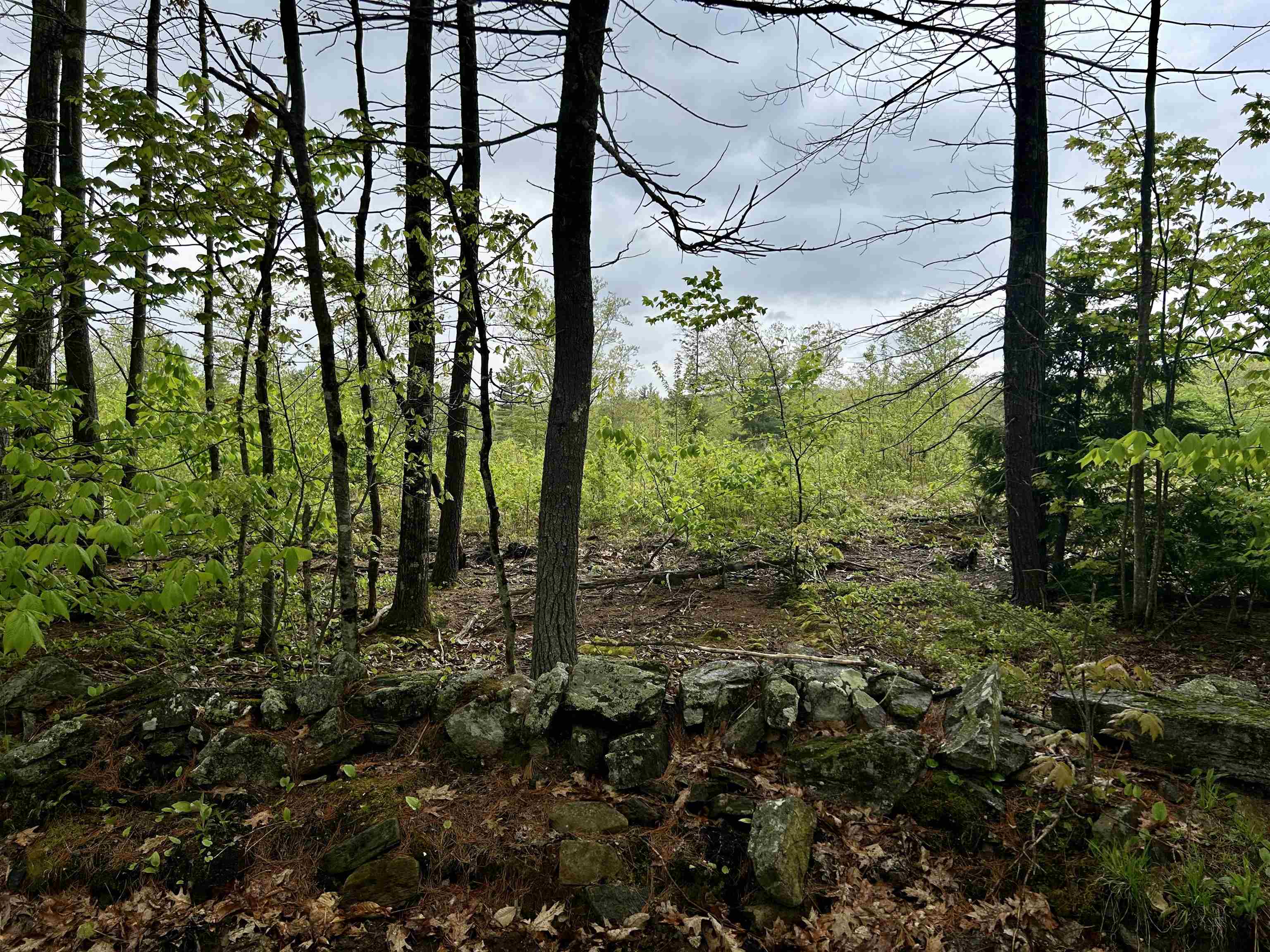 SURRY NH Land / Acres for sale