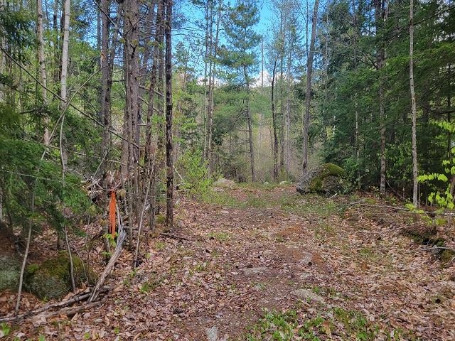 WINDSOR NH LAND  for sale $$64,900 | 5.28 Acres  | Price Per Acre $0 