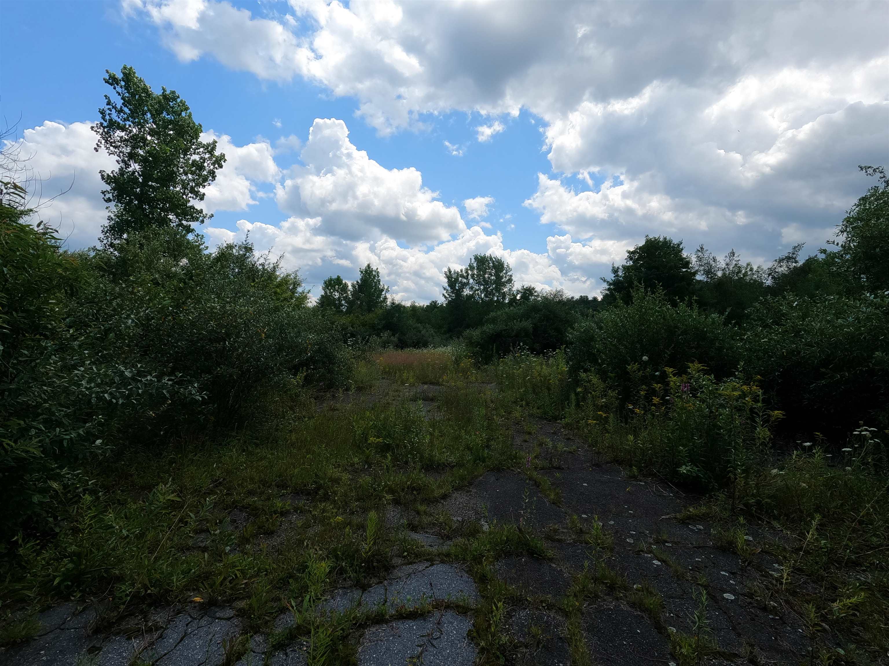 Photo of Mill Street Templeton MA 01436