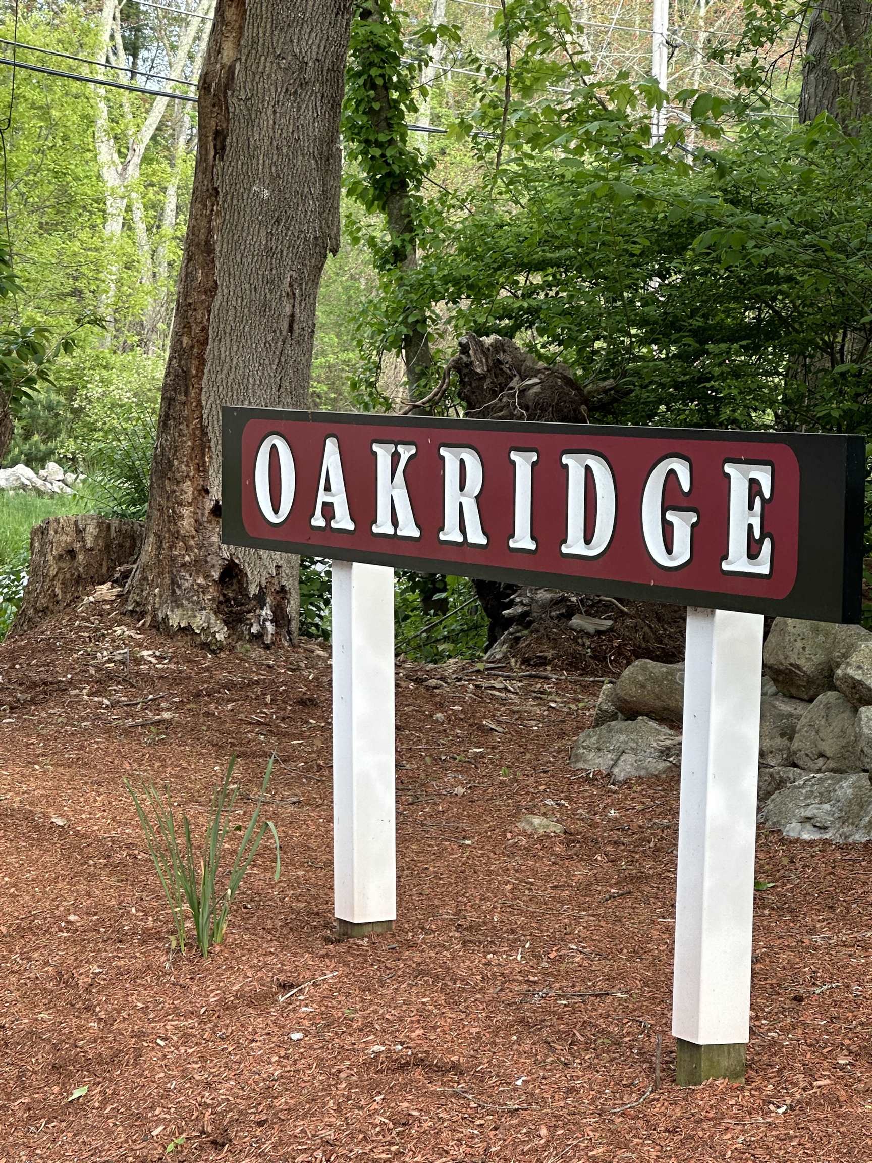 Photo of 74 Oakridge Drive Londonderry NH 03053-0000