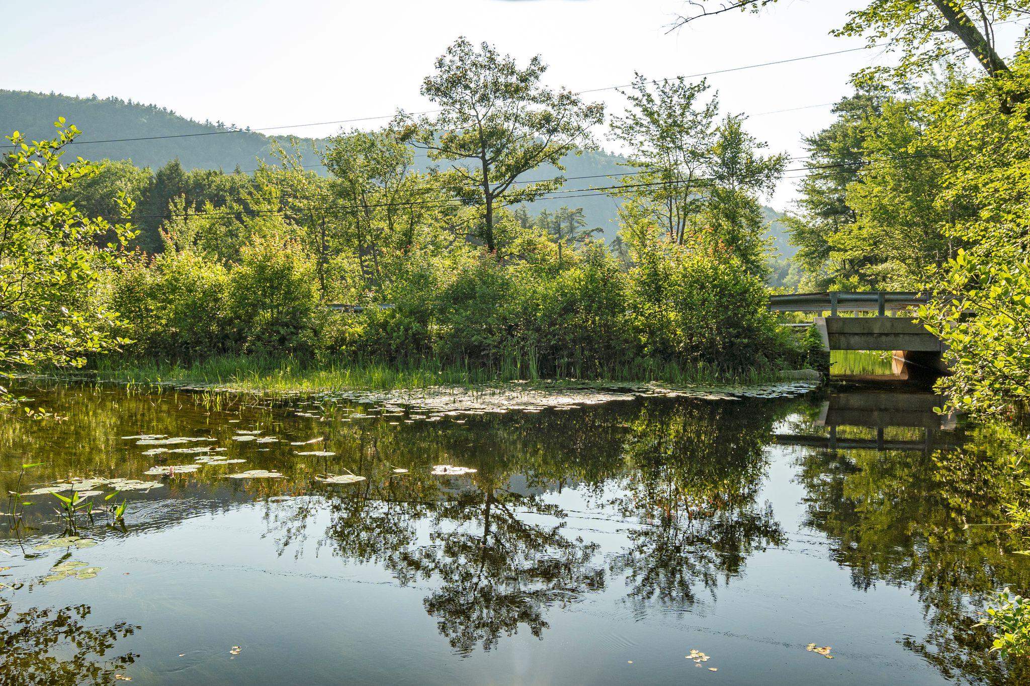 MLS #4997993 image #38