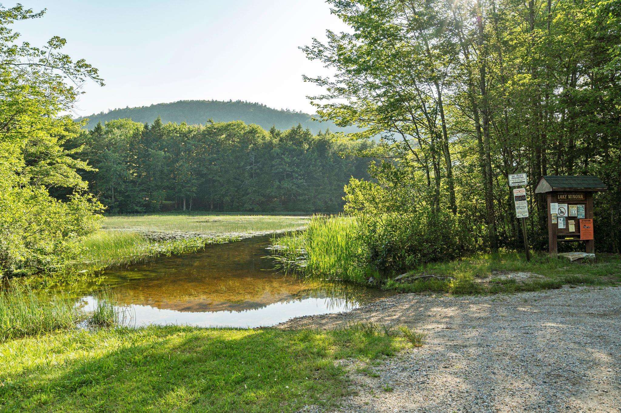 MLS #4997993 image #39