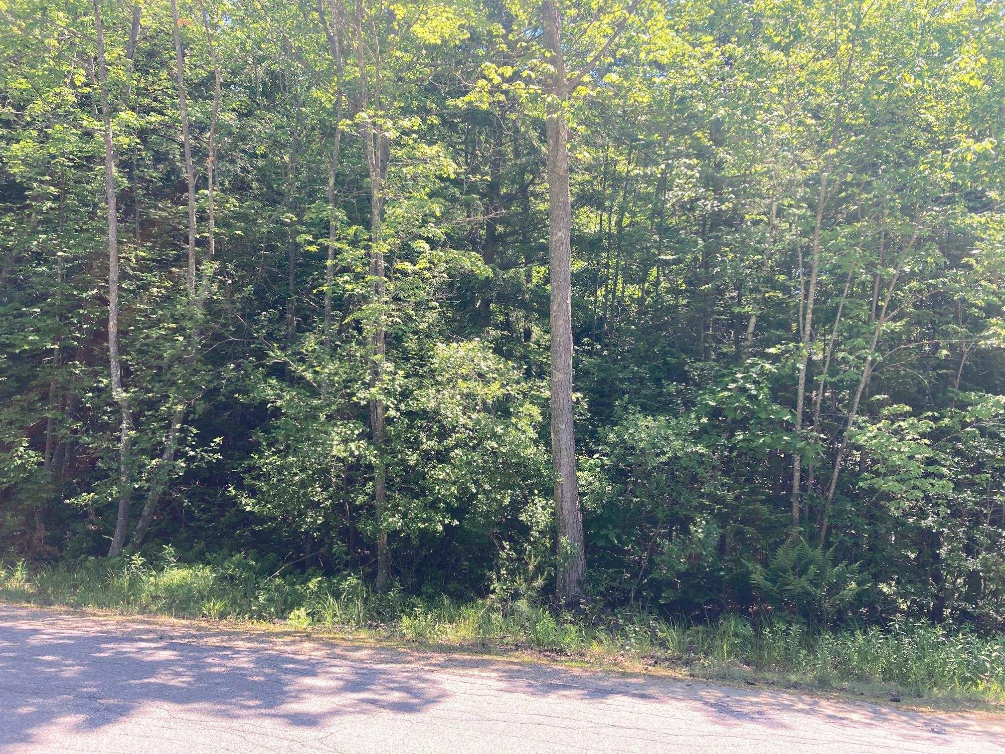 Photo of 00 Pequawket Trail Conway NH 03818