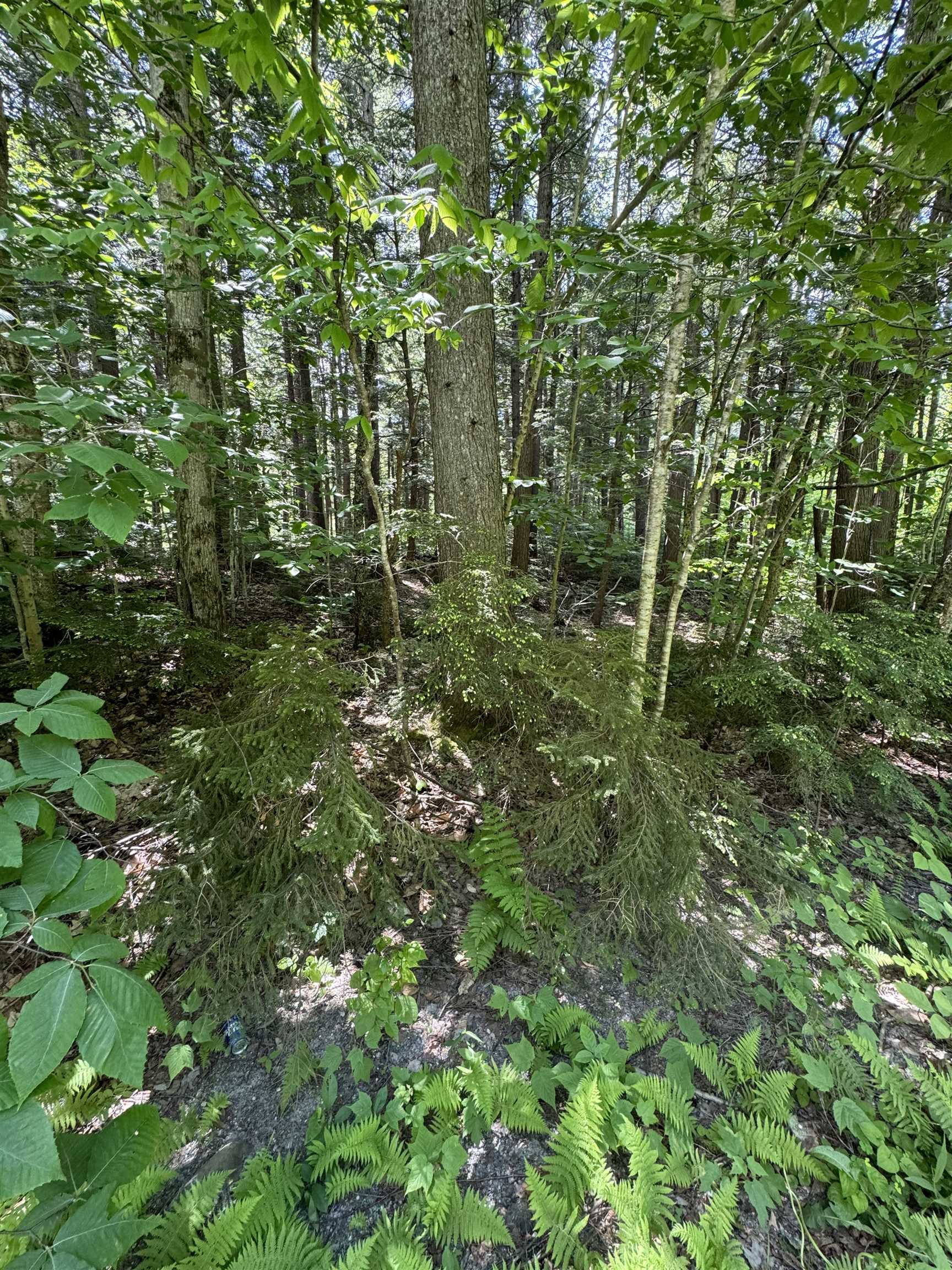 Wardsboro VT Land for sale $45,000 | 1 Acres  | Price Per Acre $0 
